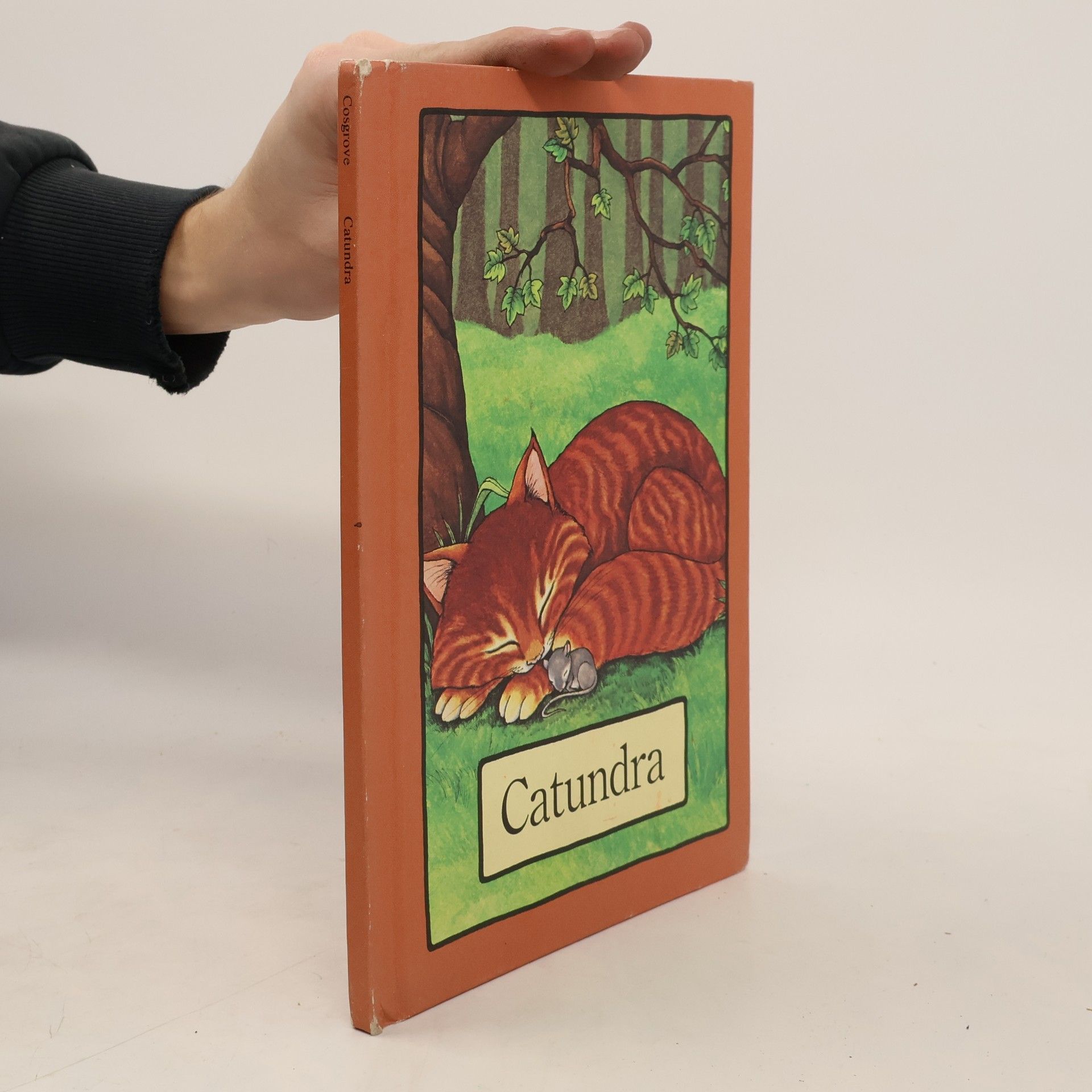 Stephen Cosgrove Catundra