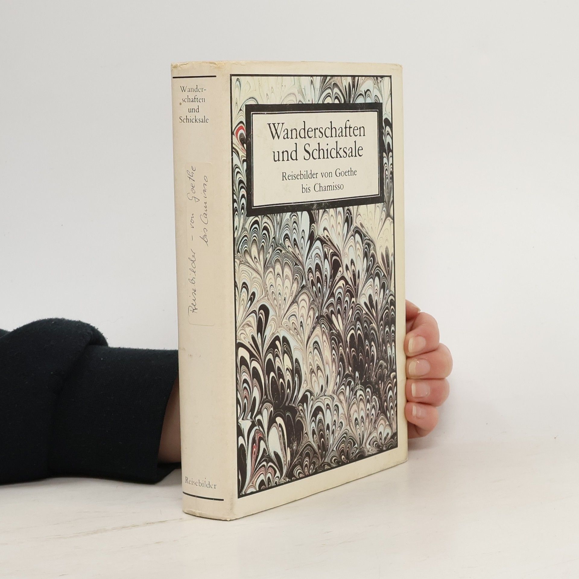 Gotthard Erler Wanderschaften und Schicksale. Reisebilder von Goethe bis Chamisso