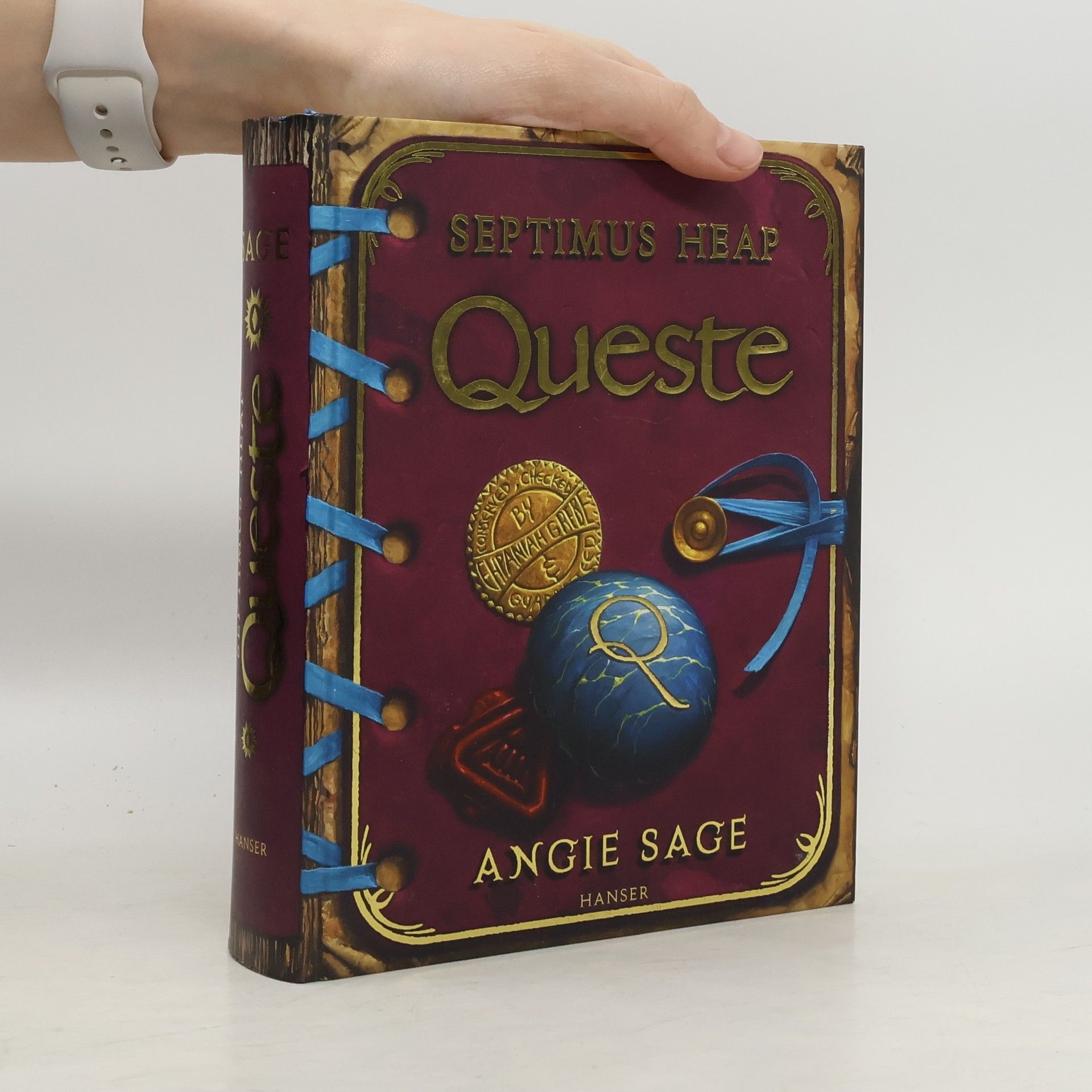 Septimus Heap : Queste