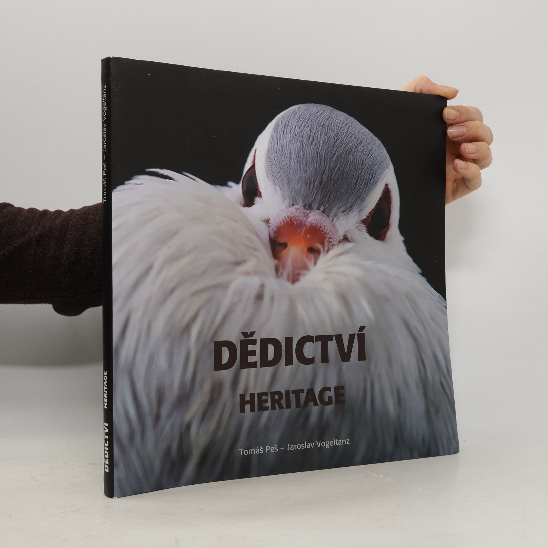 Janice Forry Dědictví/Heritage