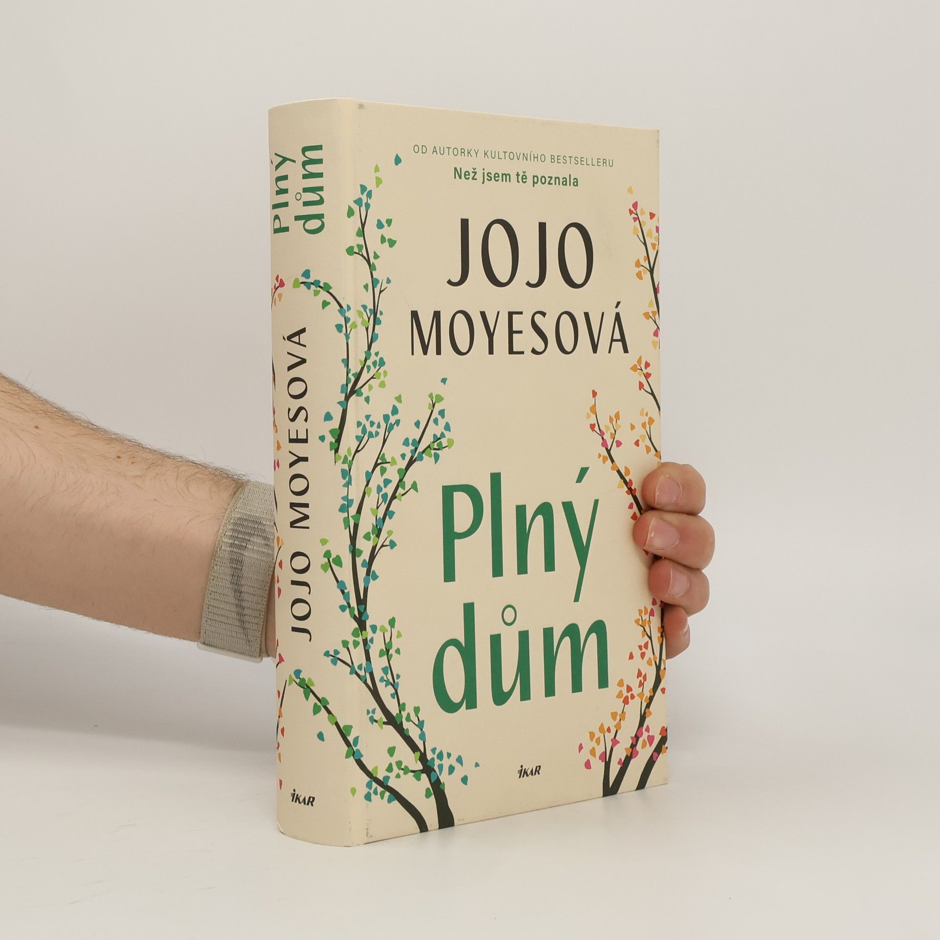 Jojo Moyes Plný dům