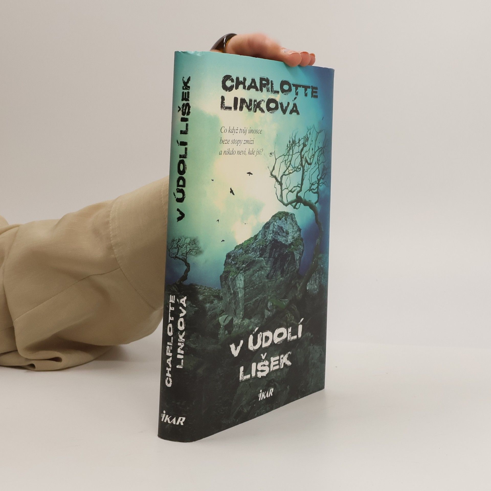 Charlotte Link V údolí lišek