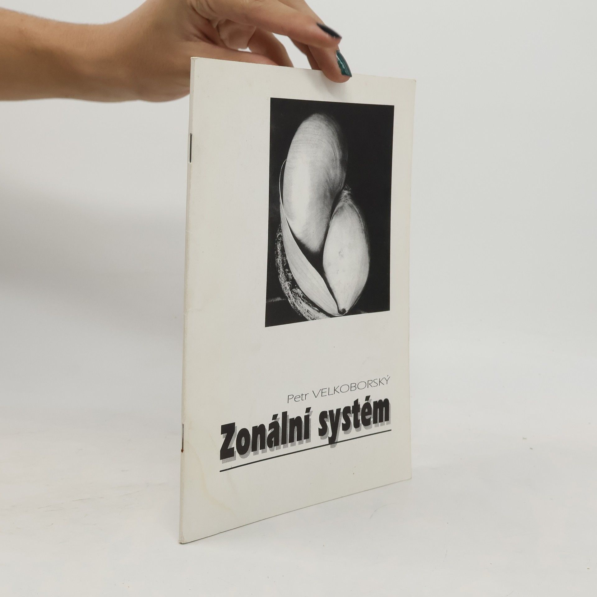 Jan Petr Velkoborský Zonální systém