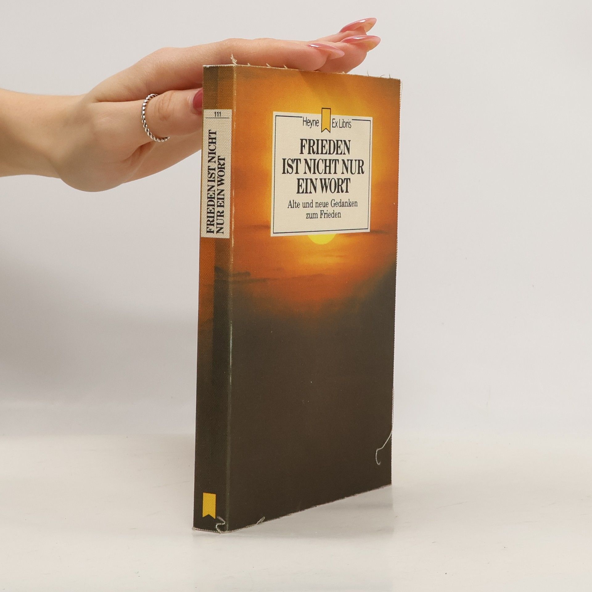 Angela Hopf Frieden ist nicht nur ein Wort