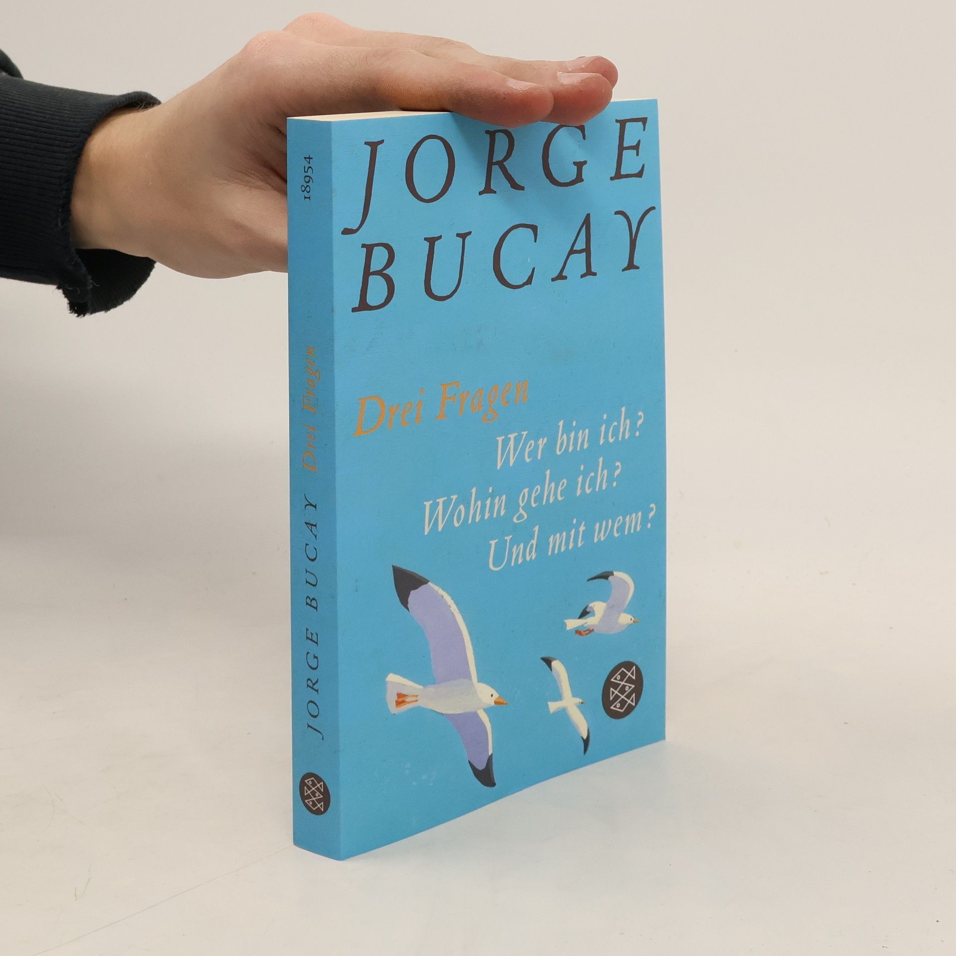 Jorge Bucay Drei Fragen