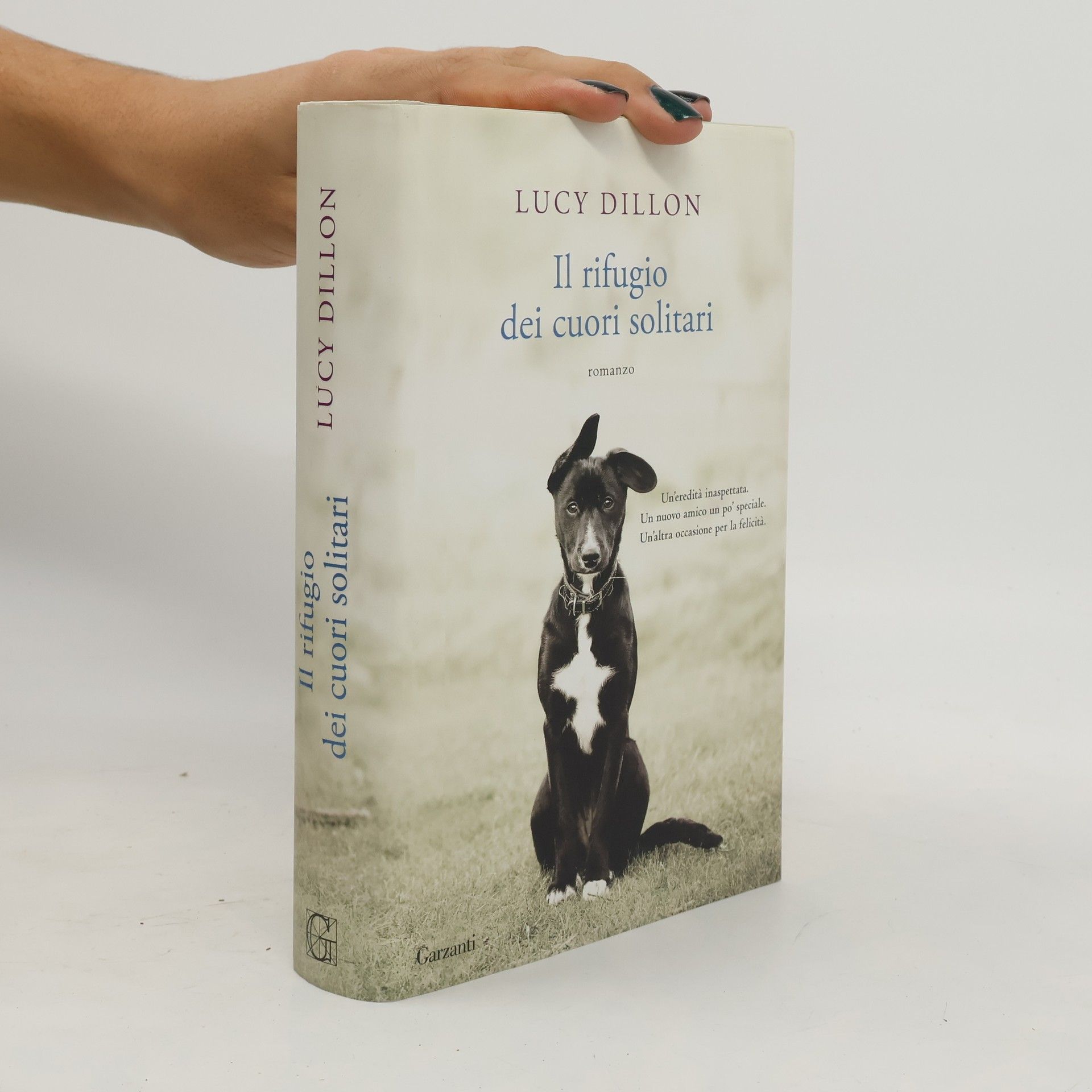 Sara Caraffini Il rifugio dei cuori solitari