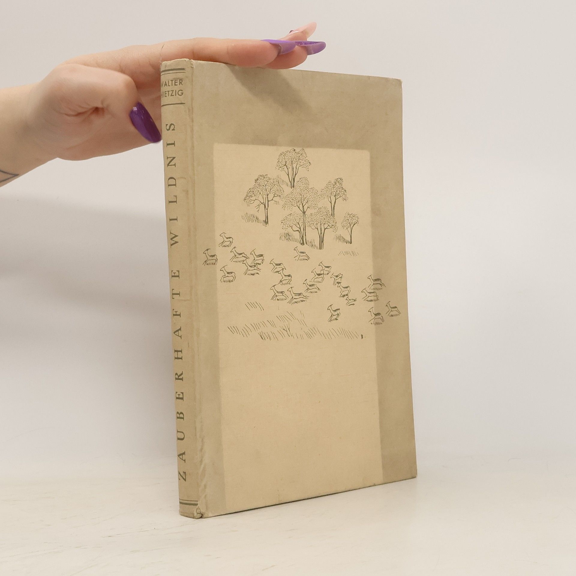 Walter Hietzig Zauberhafte Wildnis