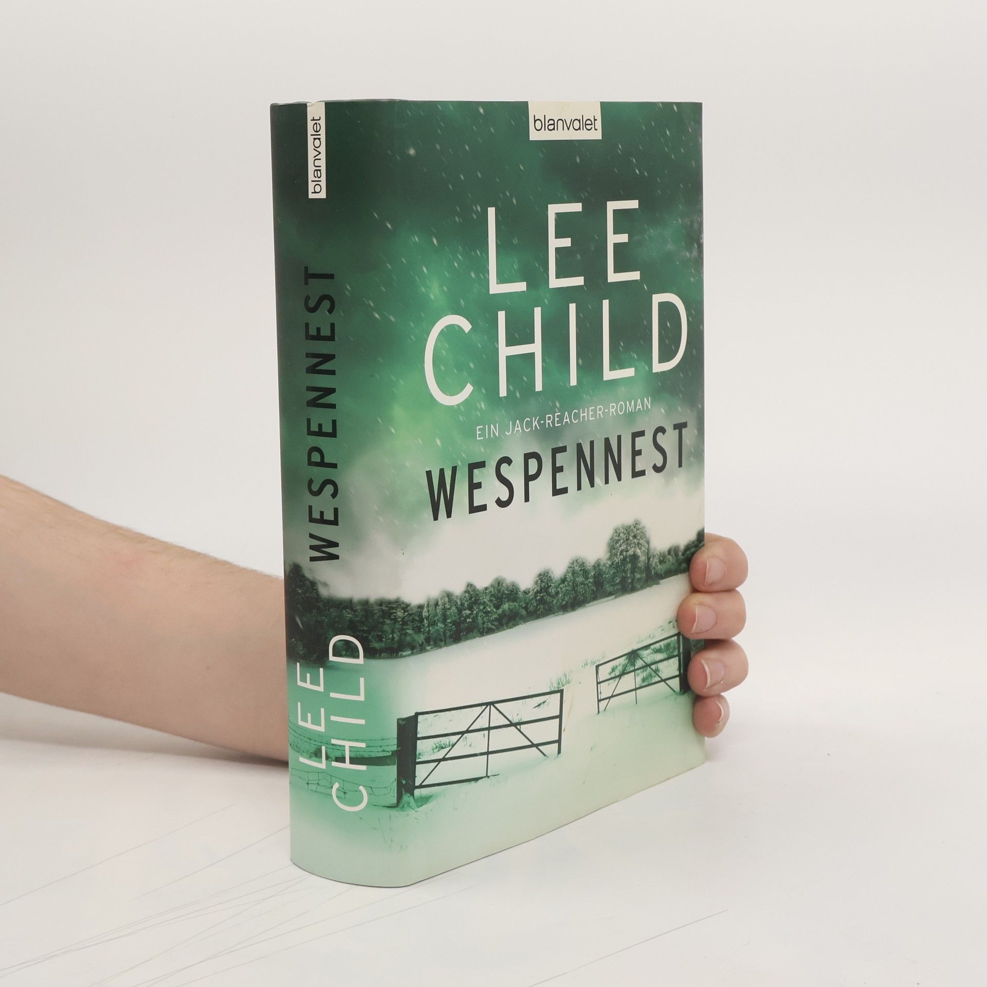 Lee Child Wespennest