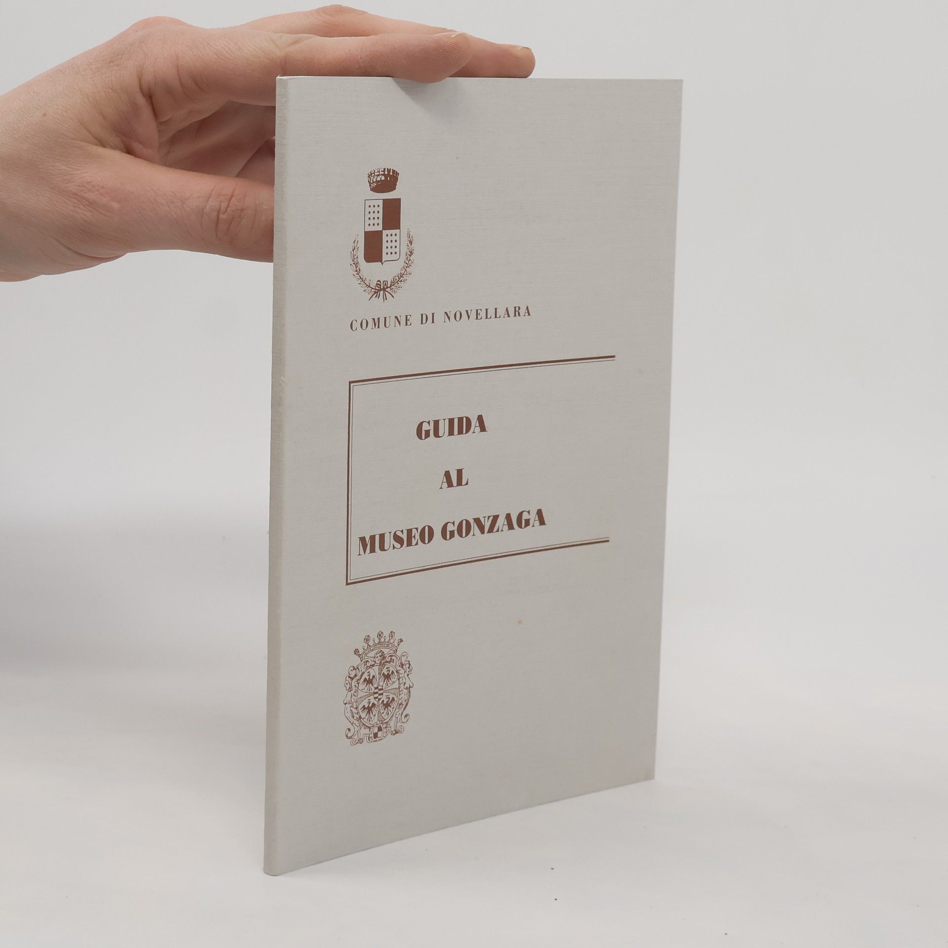 Kolektív autorov Guida al museo Gonzaga