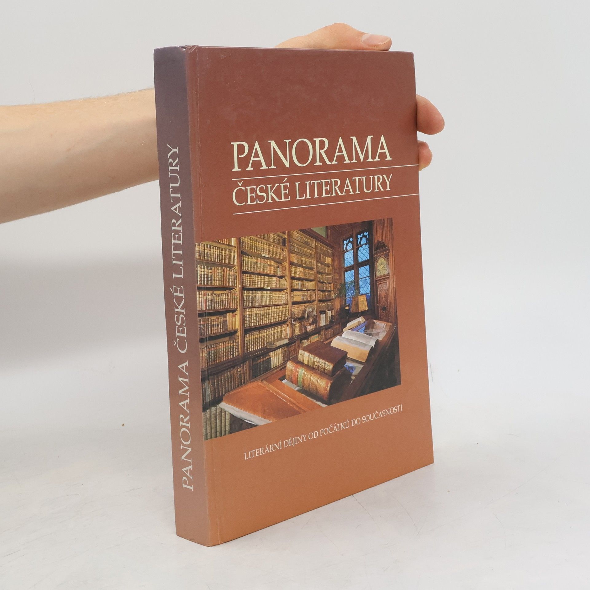 Autorenkollektiv Panorama české literatury. Literární dějiny od počátků do současnosti