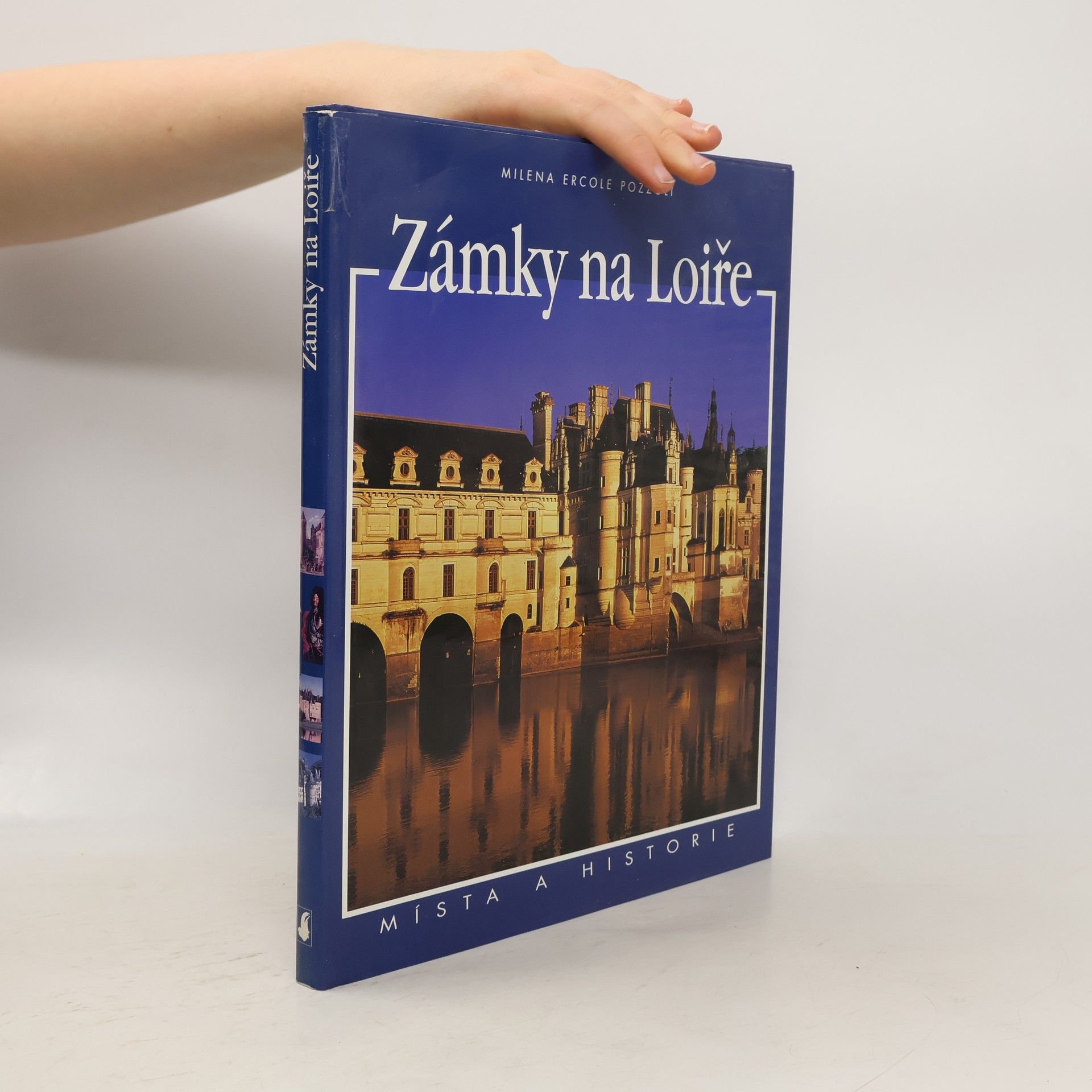 Zámky na Loiře. Místa a historie