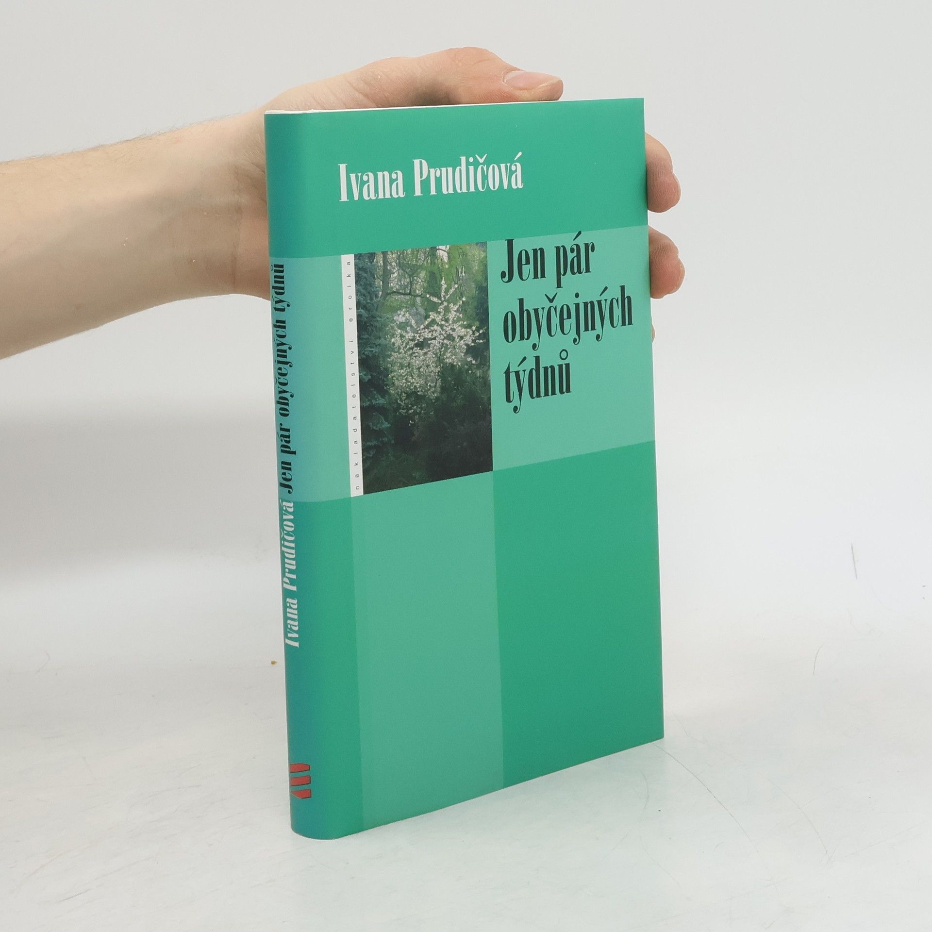 Ivana Prudičová Jen pár obyčejných týdnů