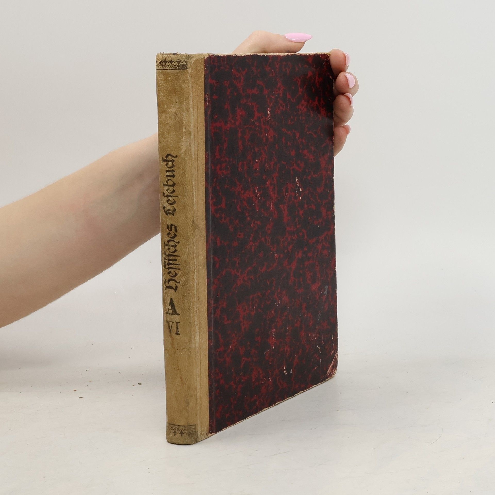 Kolektiv autorů Hessisches Lesebuch