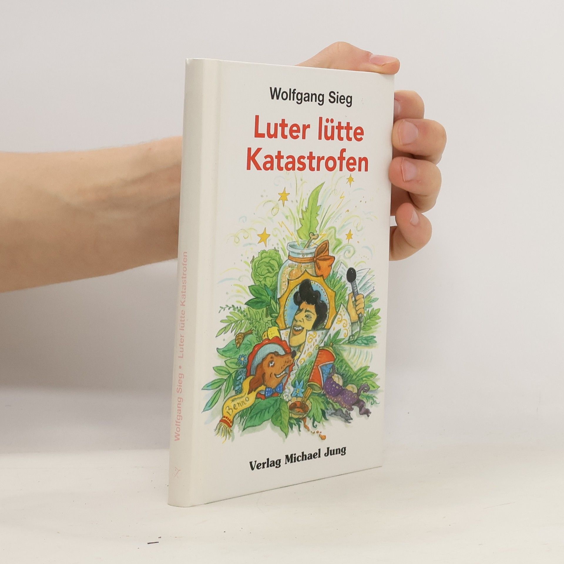 Wolfgang Sieg Luter lütte Katastrofen
