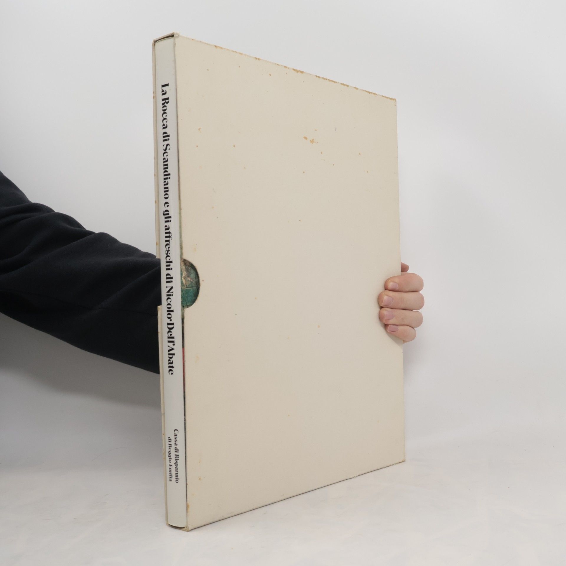 Autorenkollektiv La Rocca di Scandiano e gli affreschi di Nicolò dell'Abate