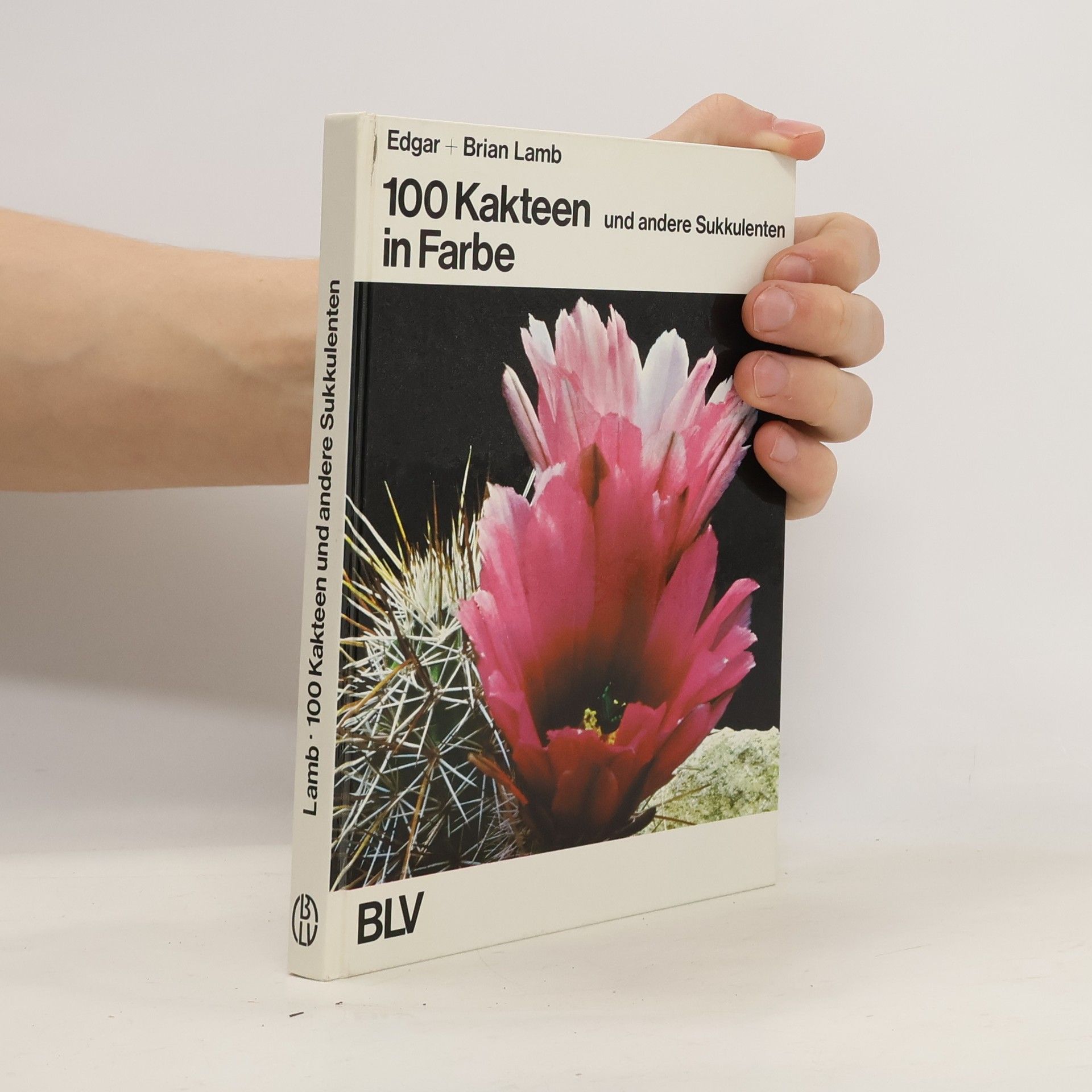 100 [Hundert] Kakteen und andere Sukkulenten in Farbe