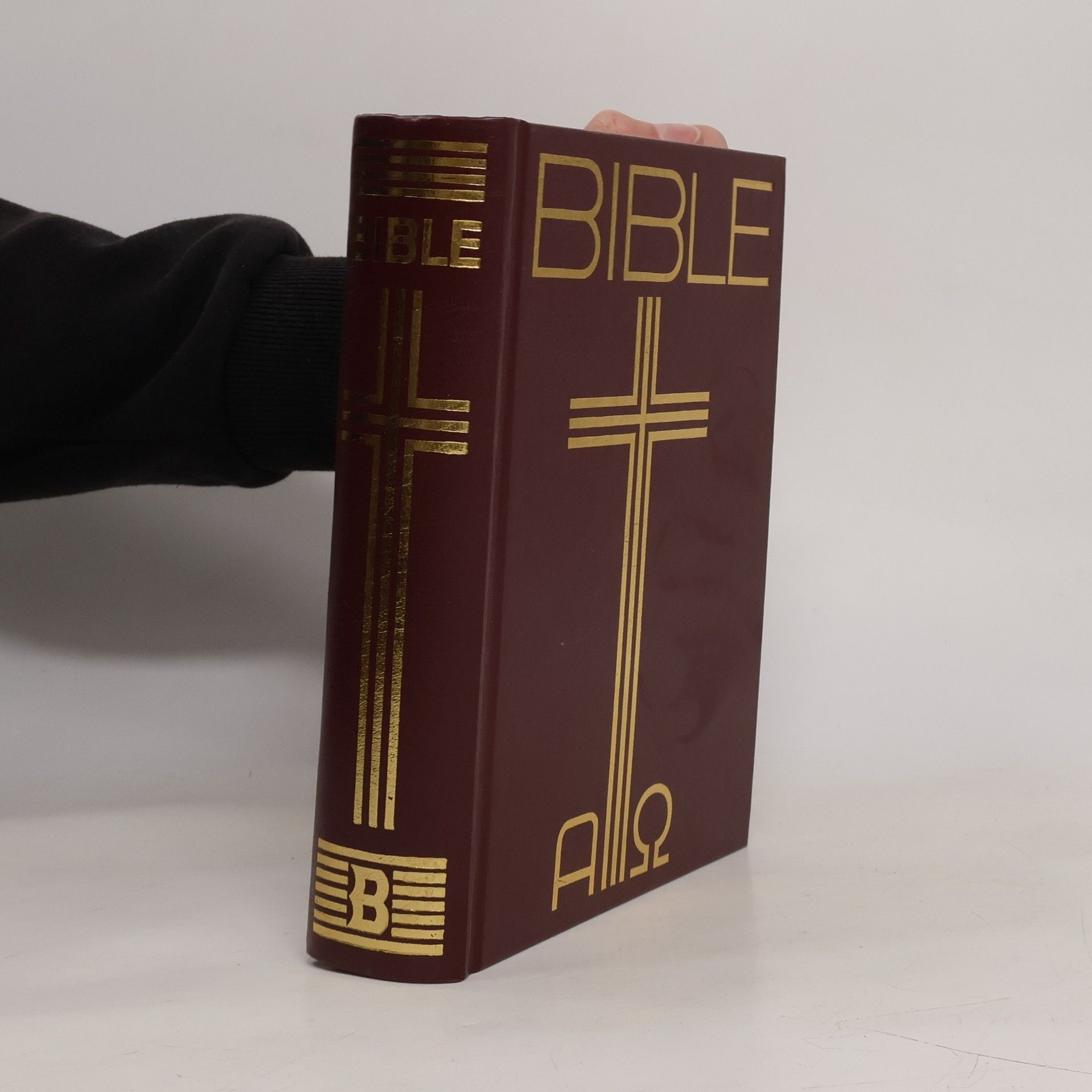Kolektiv autorů Bible: Písmo svaté Starého a Nového zákona