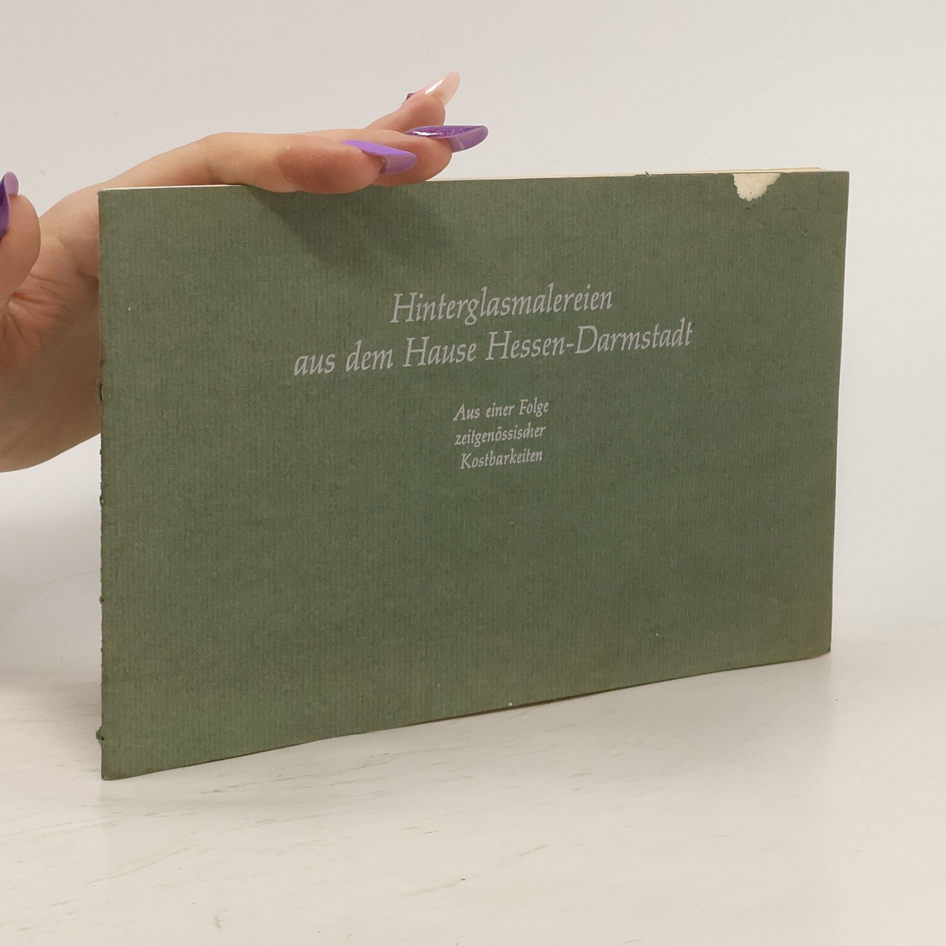 Autorenkollektiv Hinterglasmalereien aus den Gause Hessen-Darmstadt