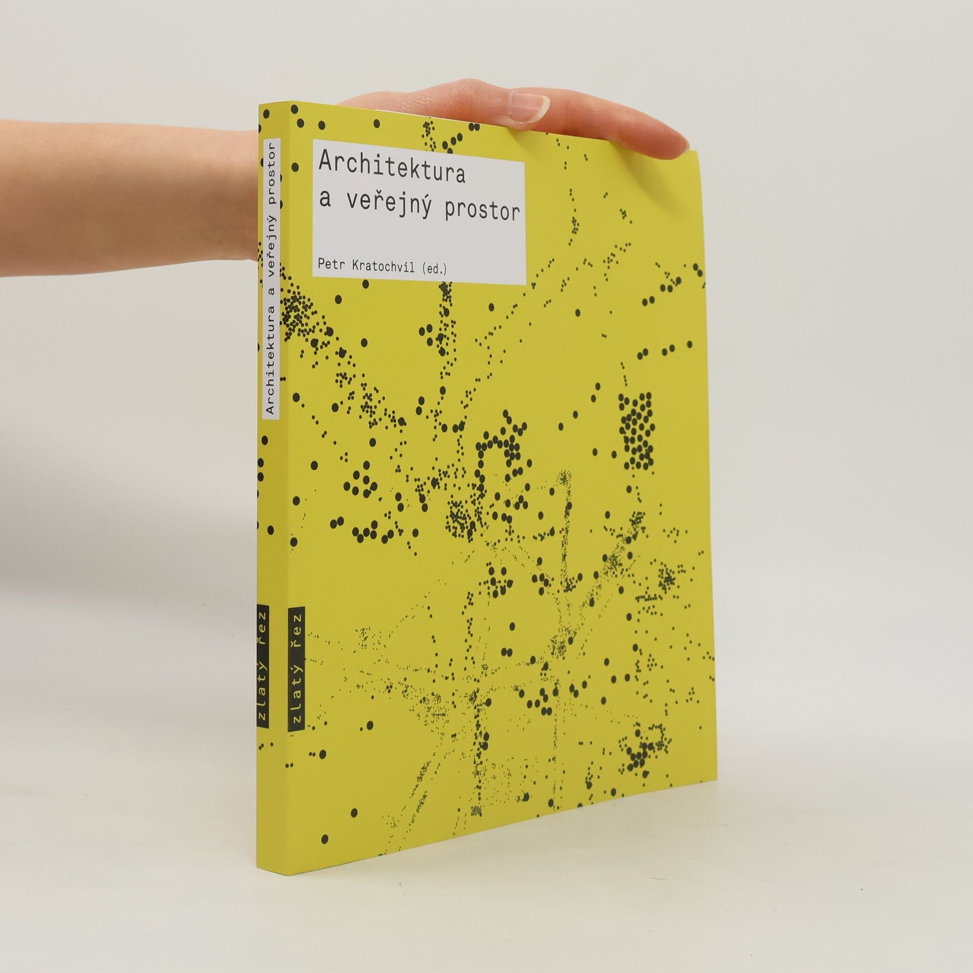 Petr Kratochvíl Architektura a veřejný prostor