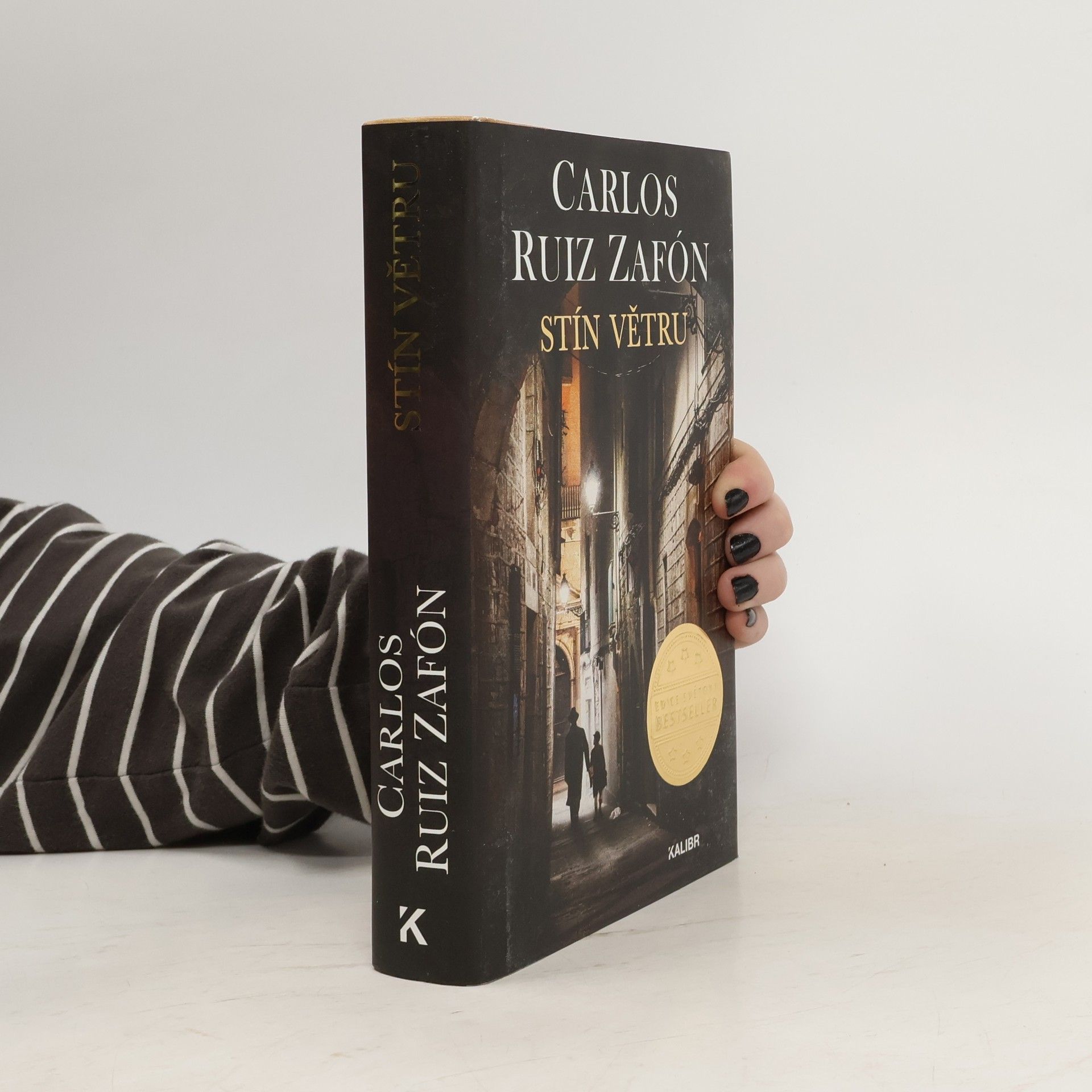 Carlos Ruiz Zafón Stín větru