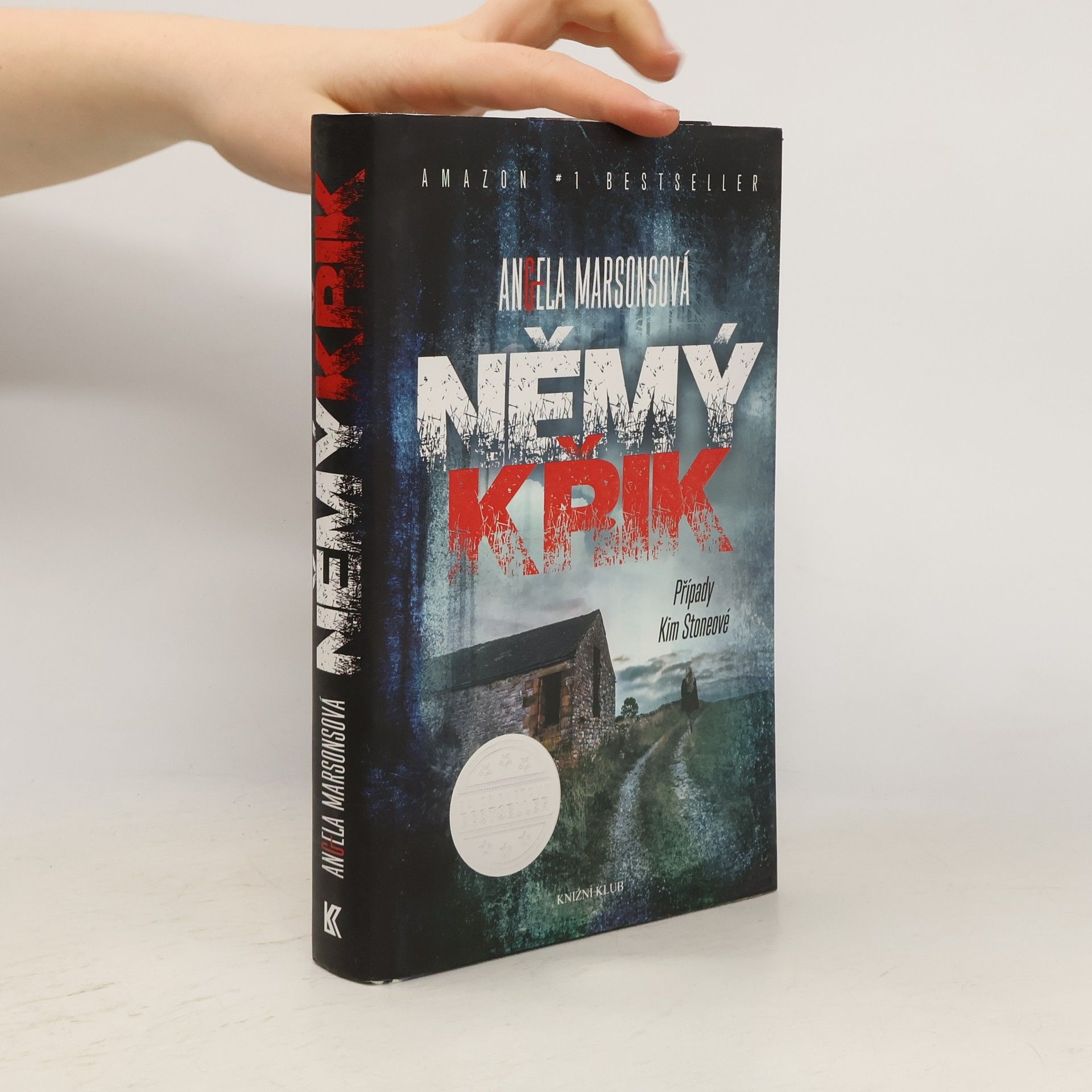 Angela Marsons Němý křik