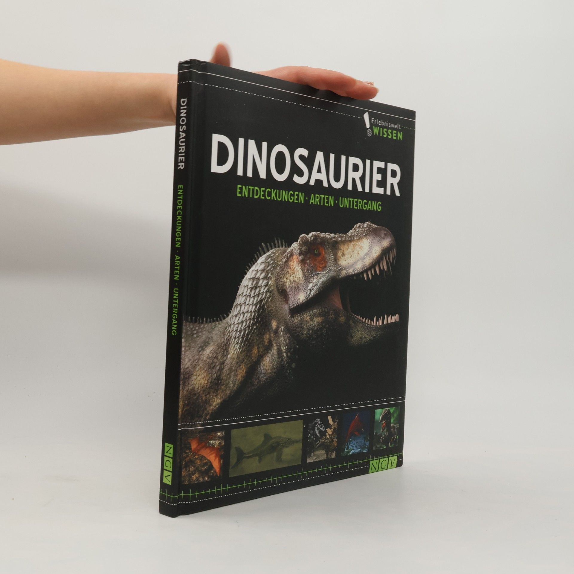 Kolektív autorov Dinosaurier