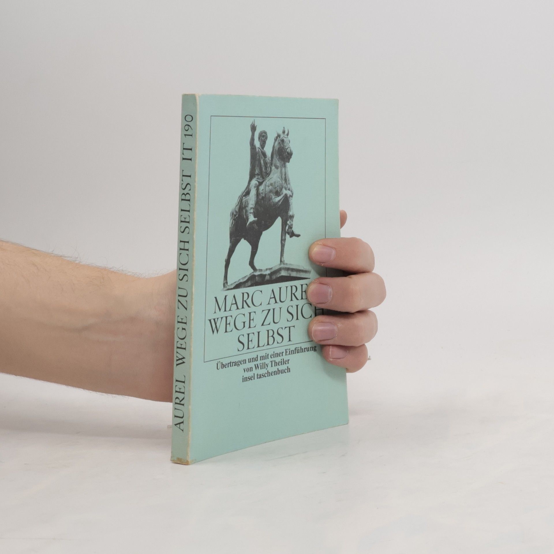 Insel Taschenbuch - 190: Wege zu sich selbst