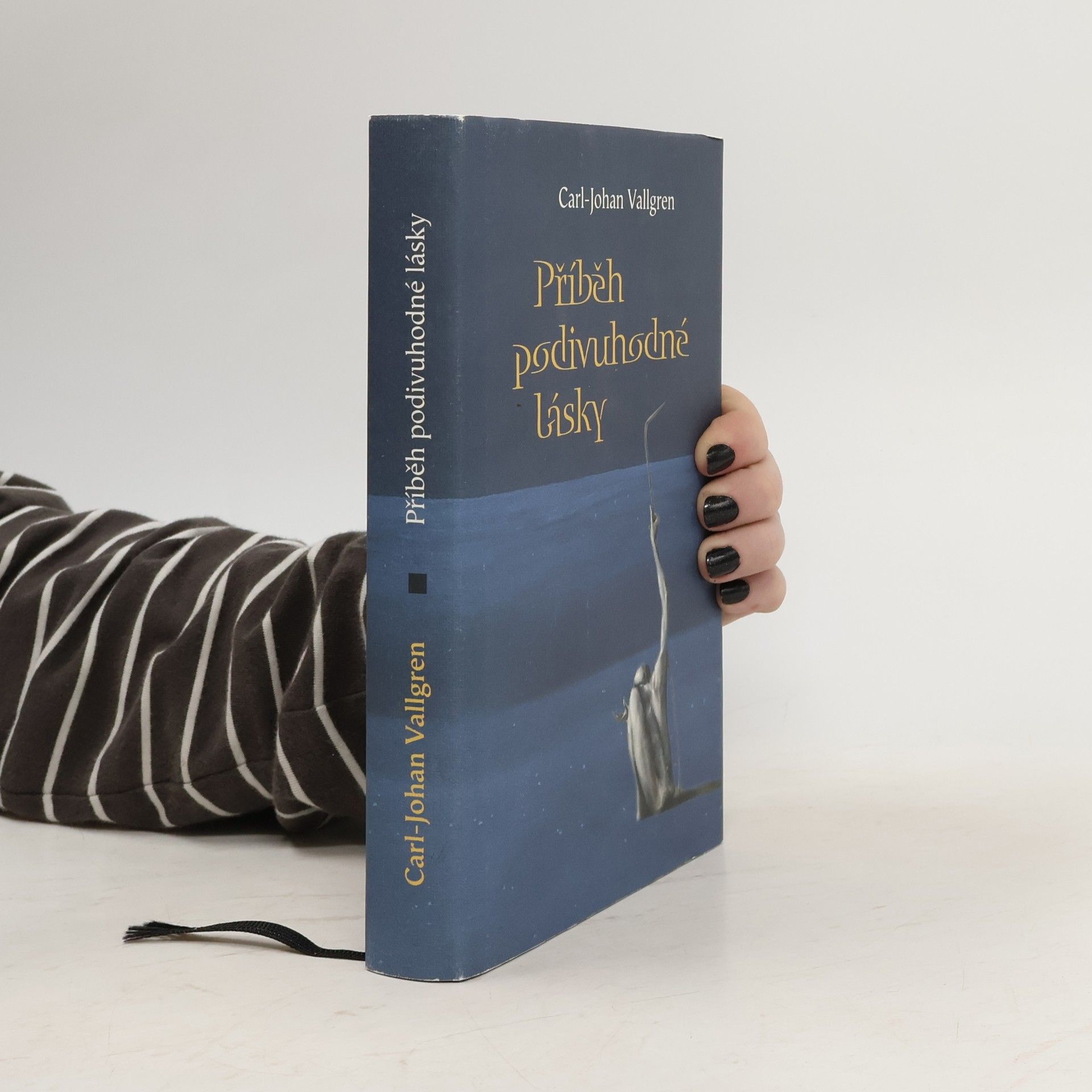 Carl Vallgren Příběh podivuhodné lásky