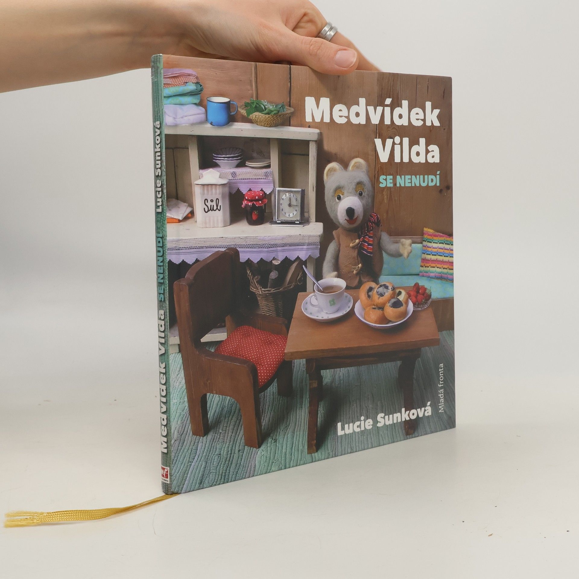 Lucie Sunková Medvídek Vilda se nenudí
