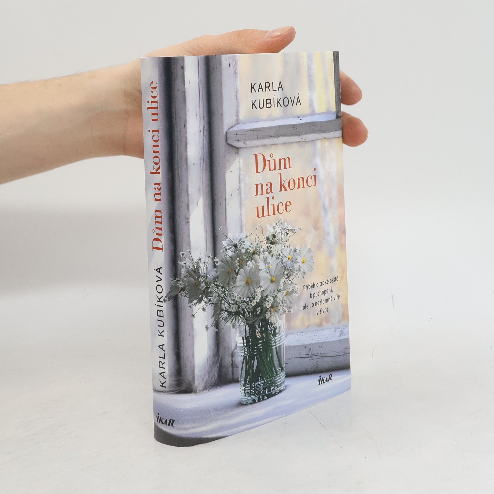 Dům na konci ulice. Příběh o trpké cestě k pochopení, ale i o nezlomné víře v život