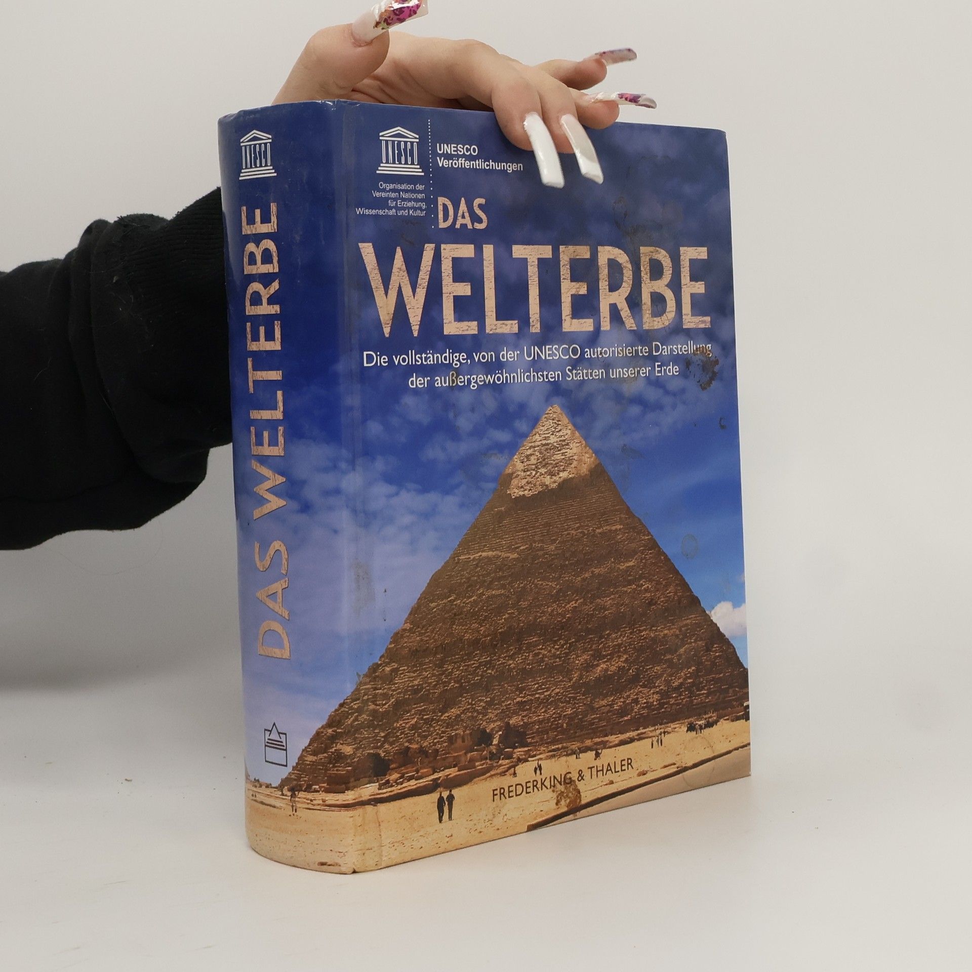 Kolektiv autorů Das Welterbe