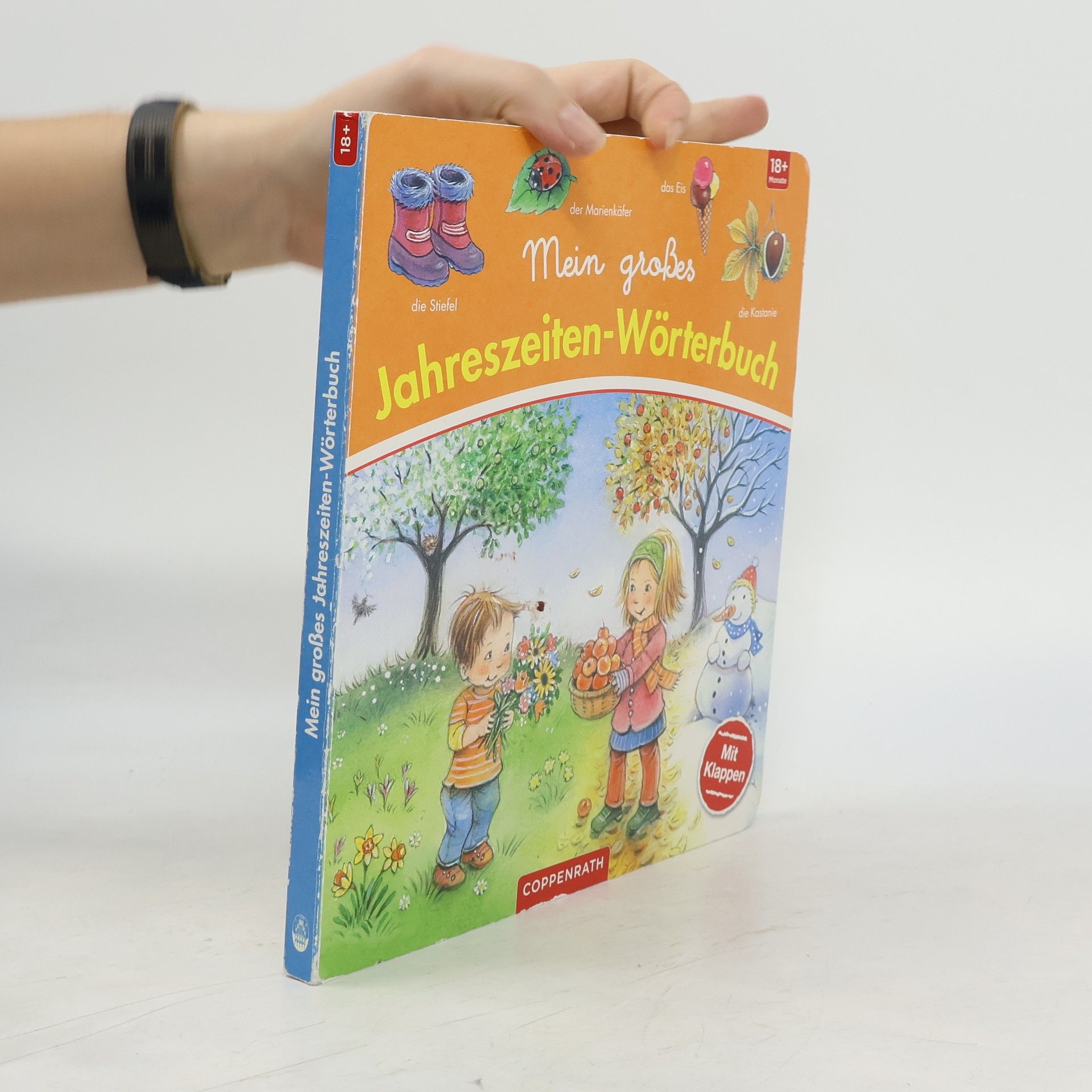 Regine Altegoer Mein großes Jahreszeiten-Wörterbuch