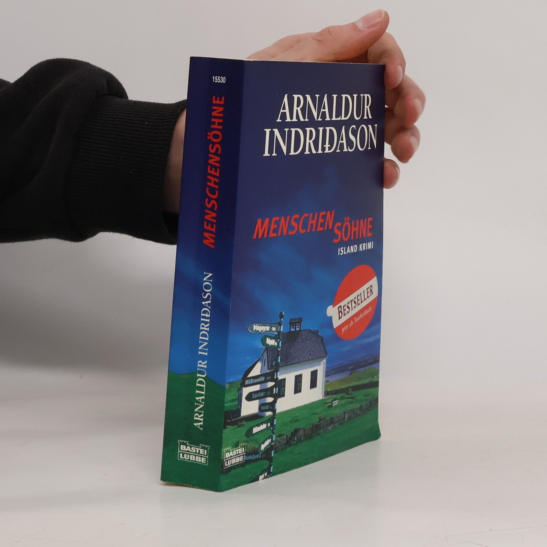 Arnaldur Indriðason Menschensöhne