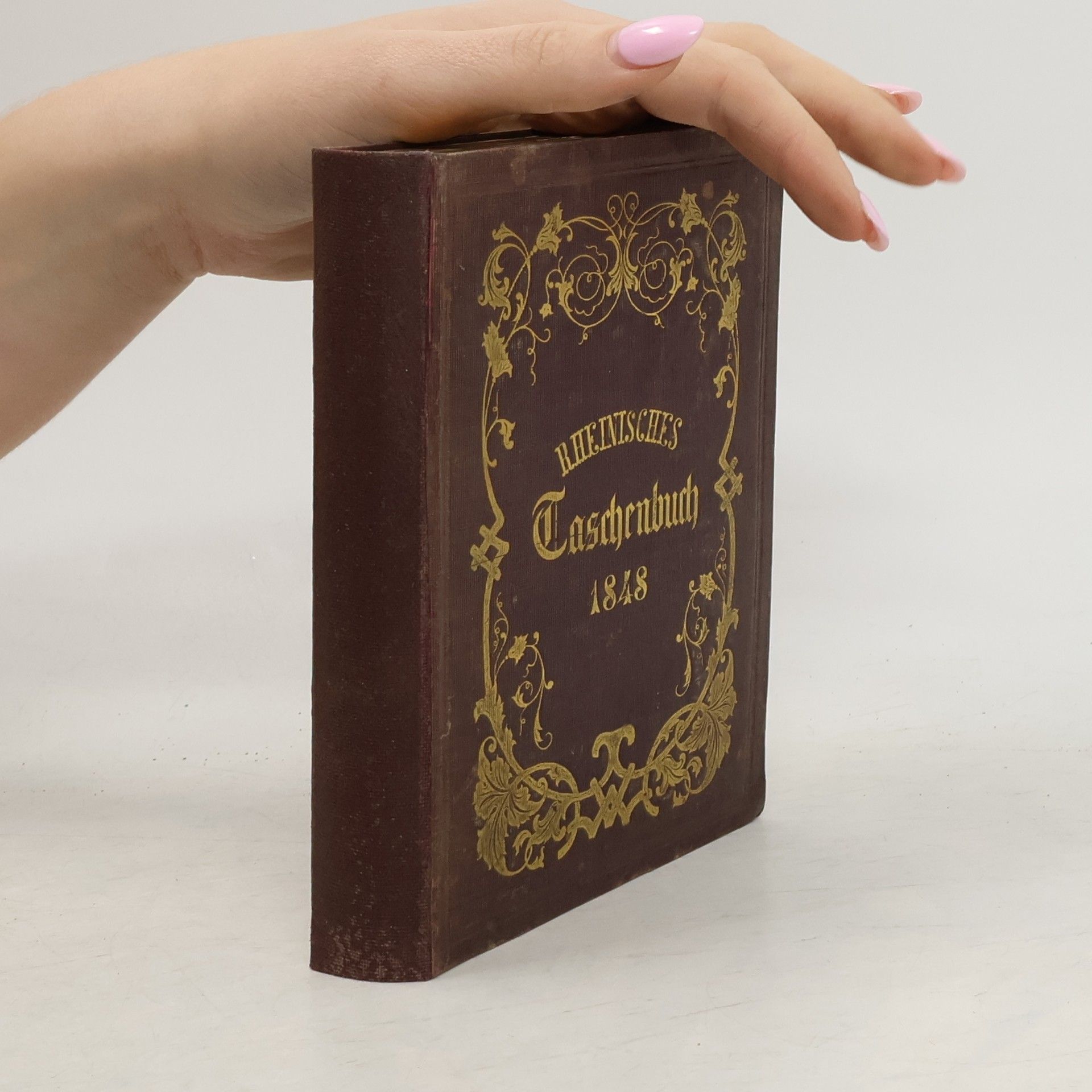 Autorenkollektiv Rheinisches Taschenbuch auf das Jahr 1848