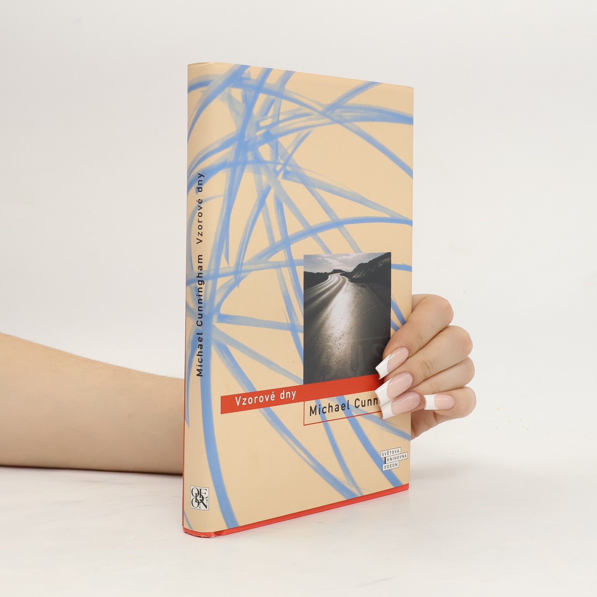 Michael Cunningham Vzorové dny