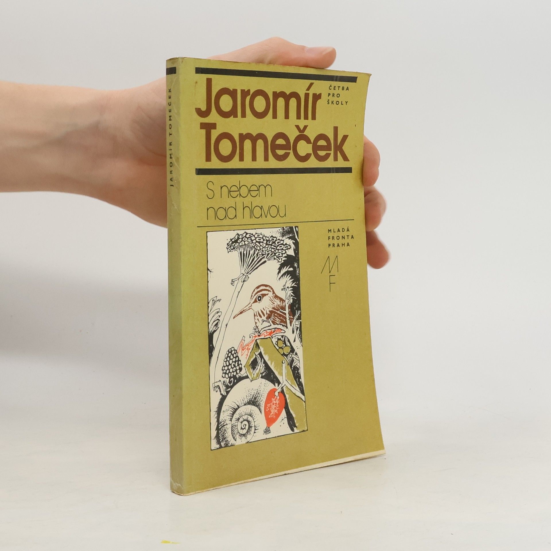 Jaromír Tomeček S nebem nad hlavou