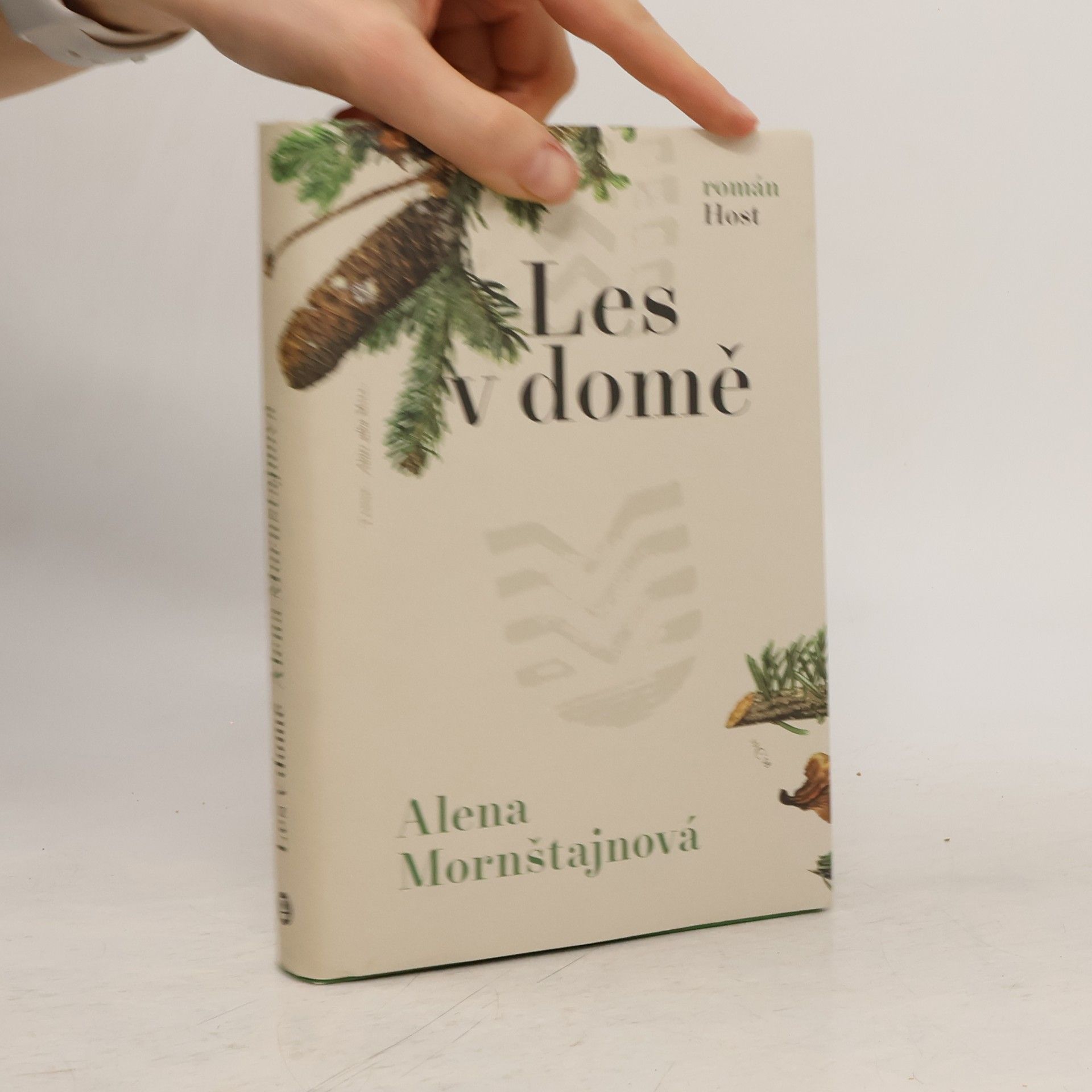 Alena Mornštajnová Les v domě