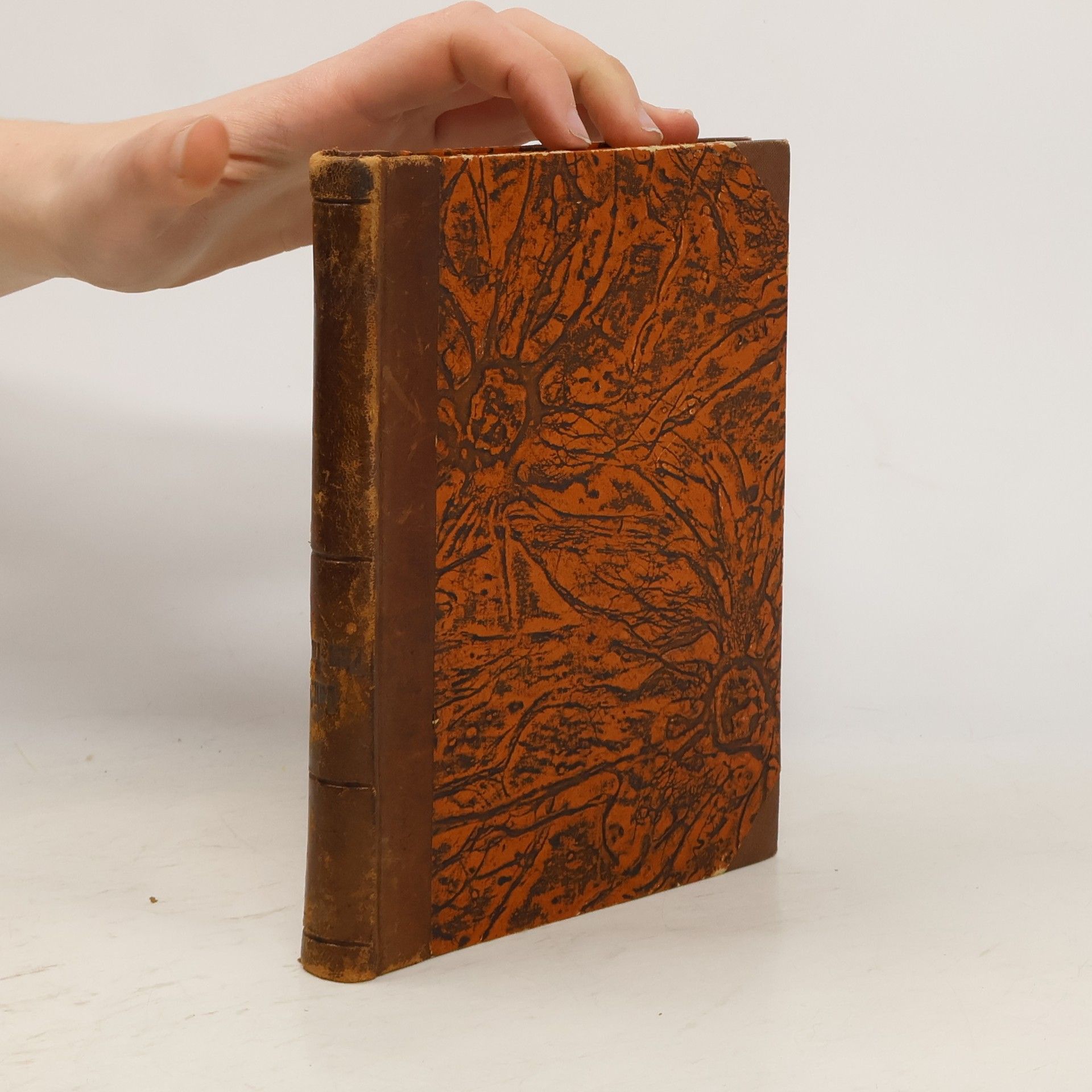 Clément Vautel Pan farář