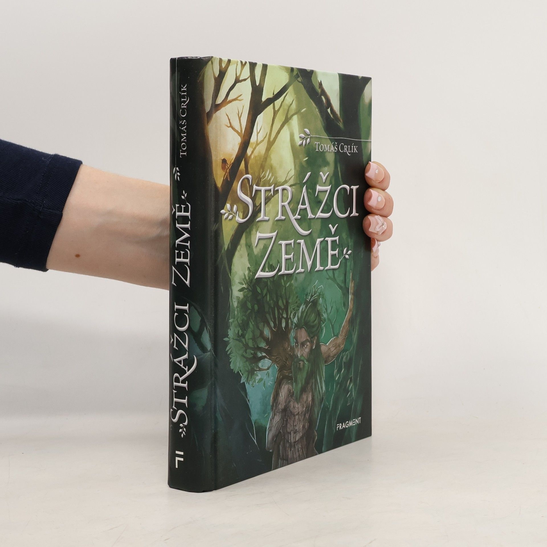 Ergall Strážci Země