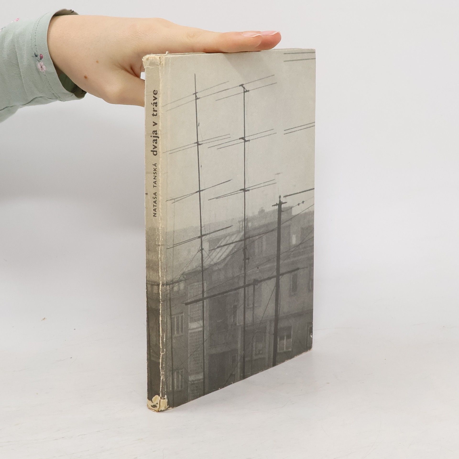 Nataša Tanská Dvaja v tráve