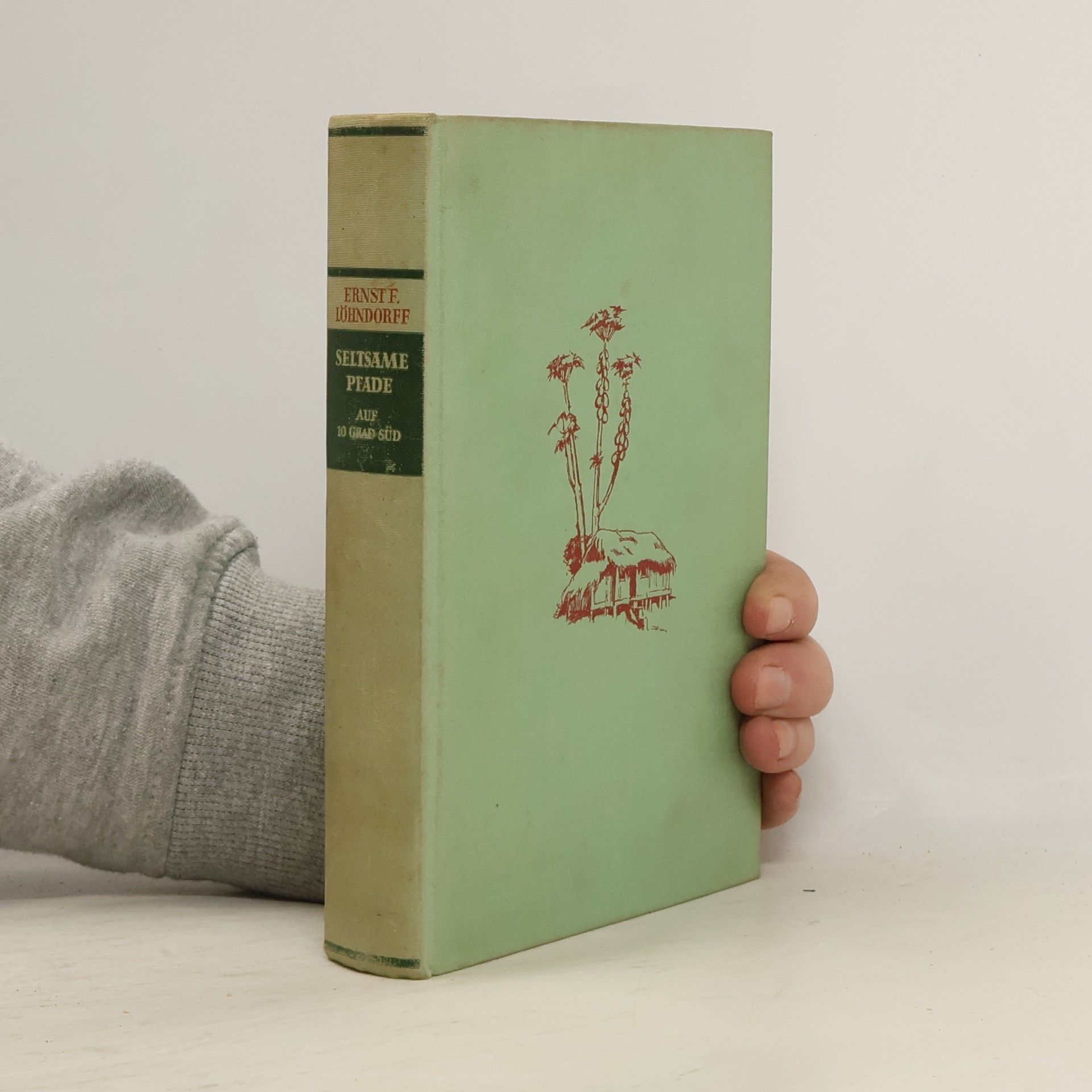 Seltsame Pfade auf 10 Grad Süd