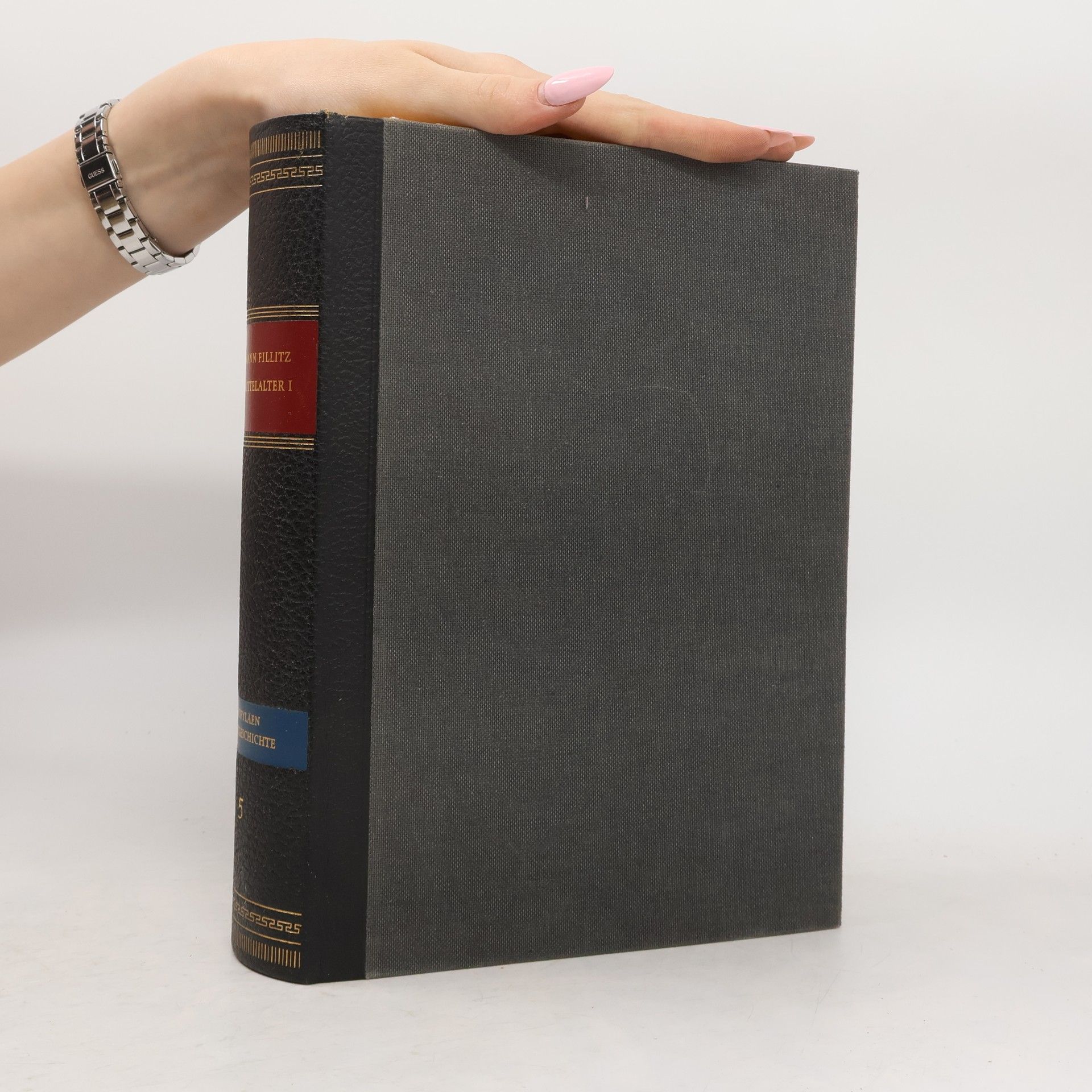Hermann Fillitz Das Mittelalter I.