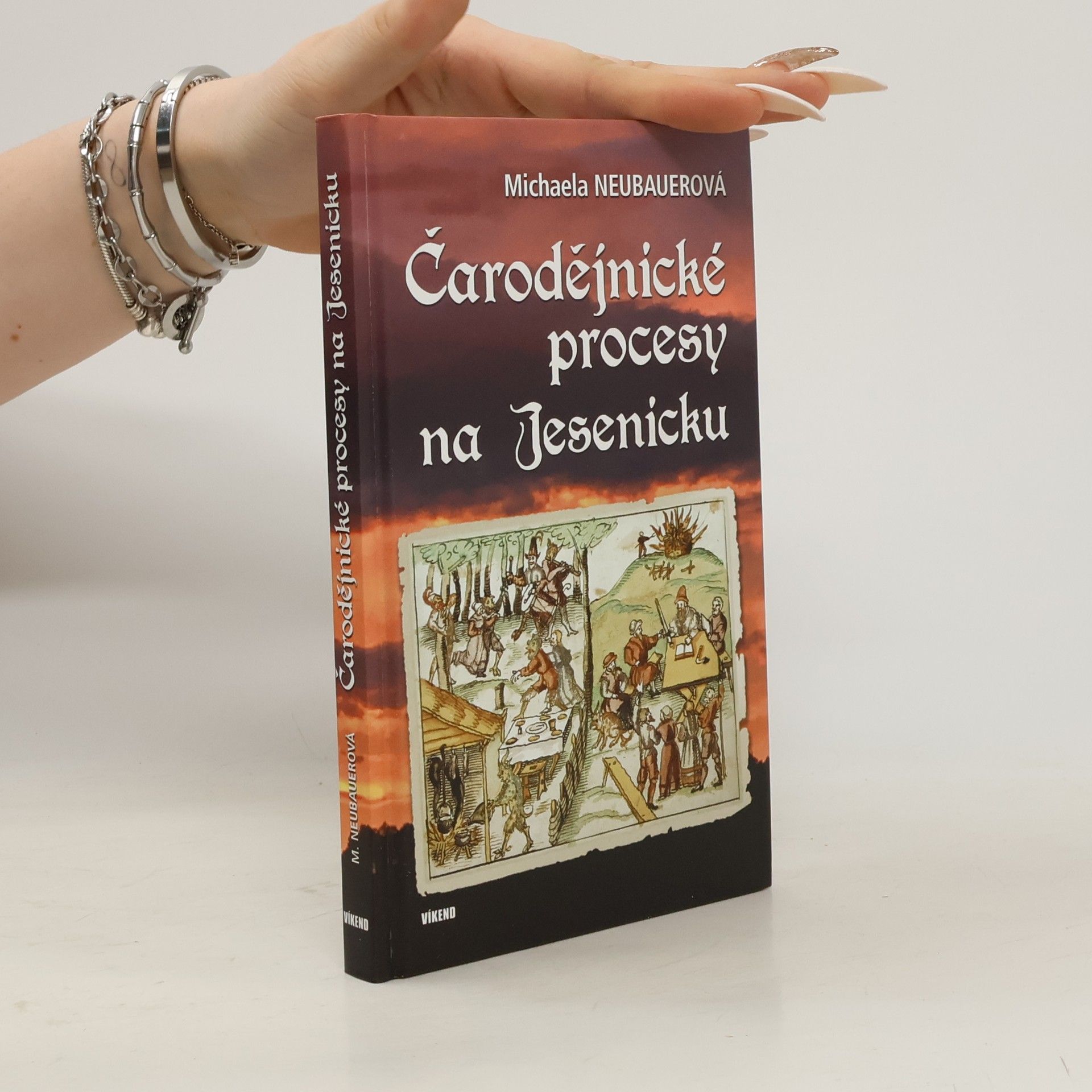 Čarodějnické procesy na Jesenicku