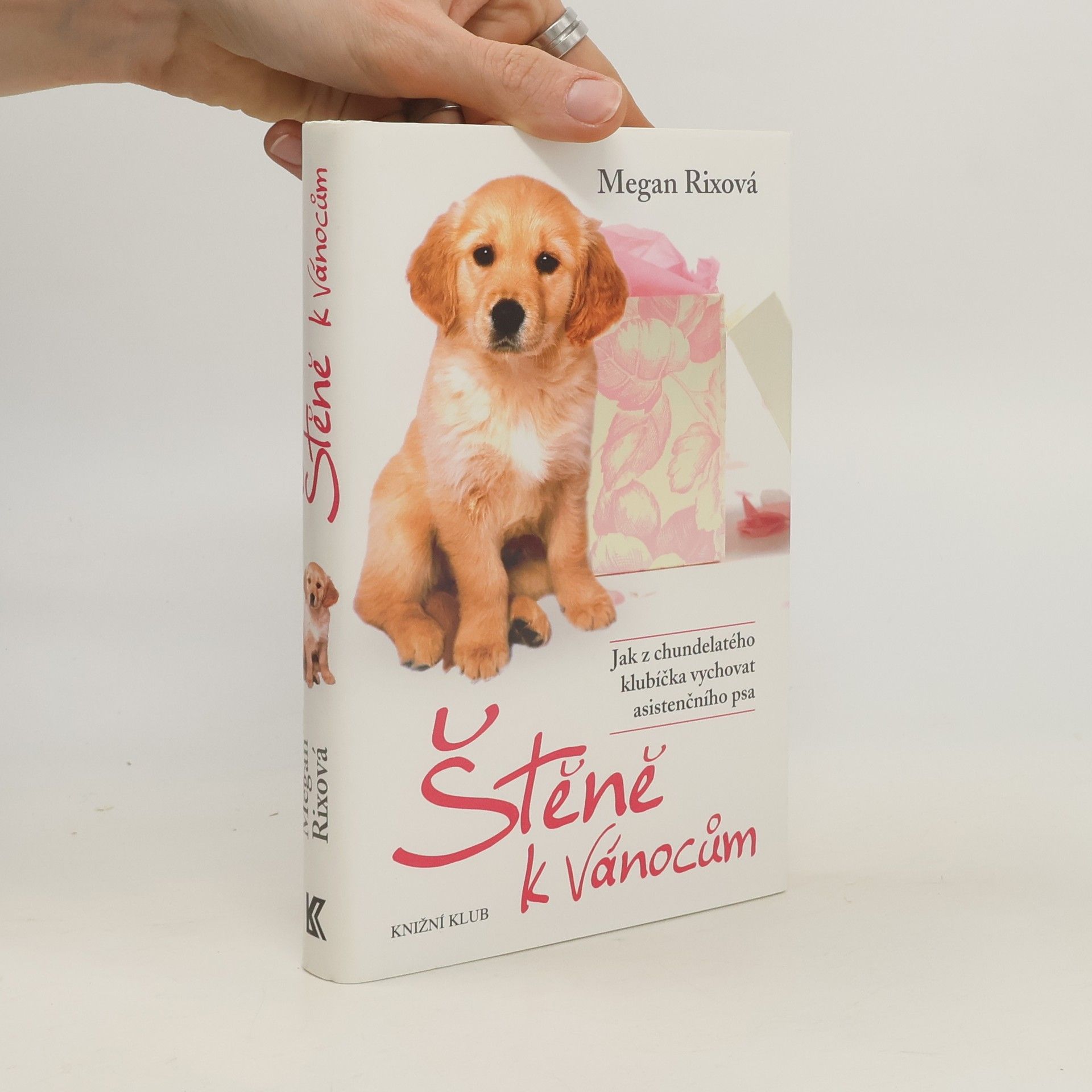 Megan Rix Štěně k Vánocům