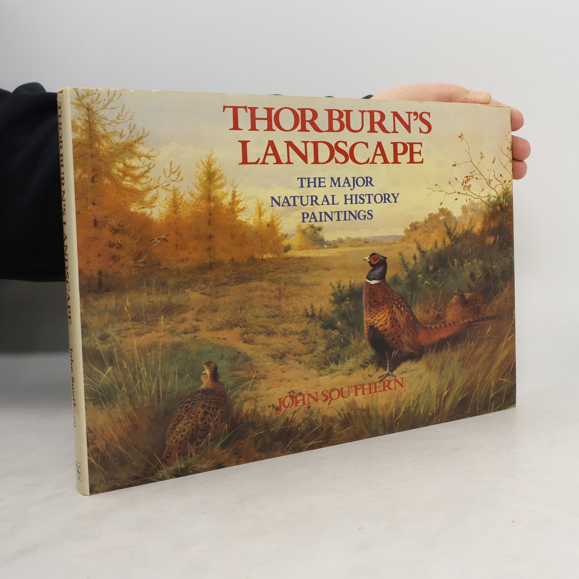 Thorburn's Landscape