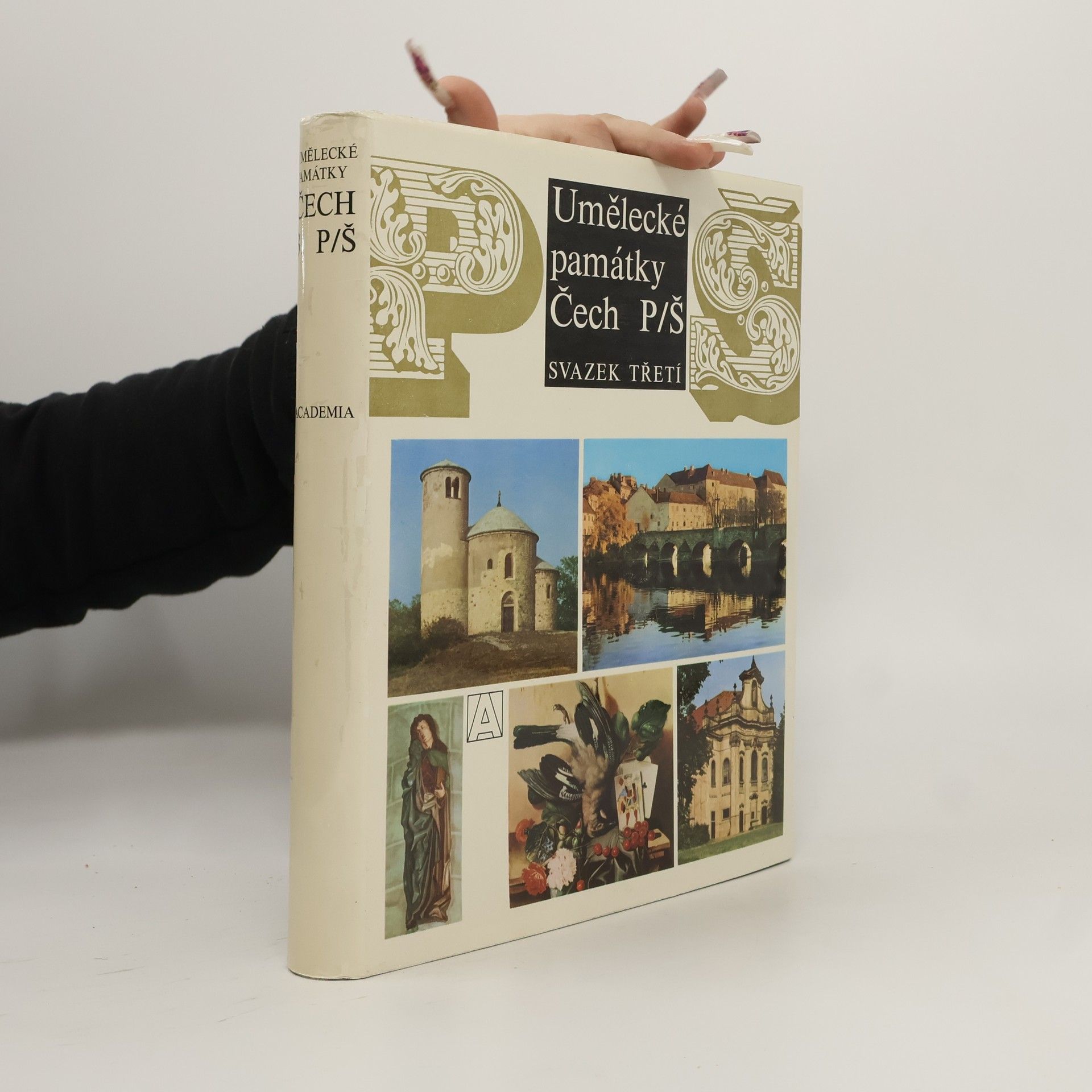 Auteurscollectief Umělecké památky Čech 3. P-Š