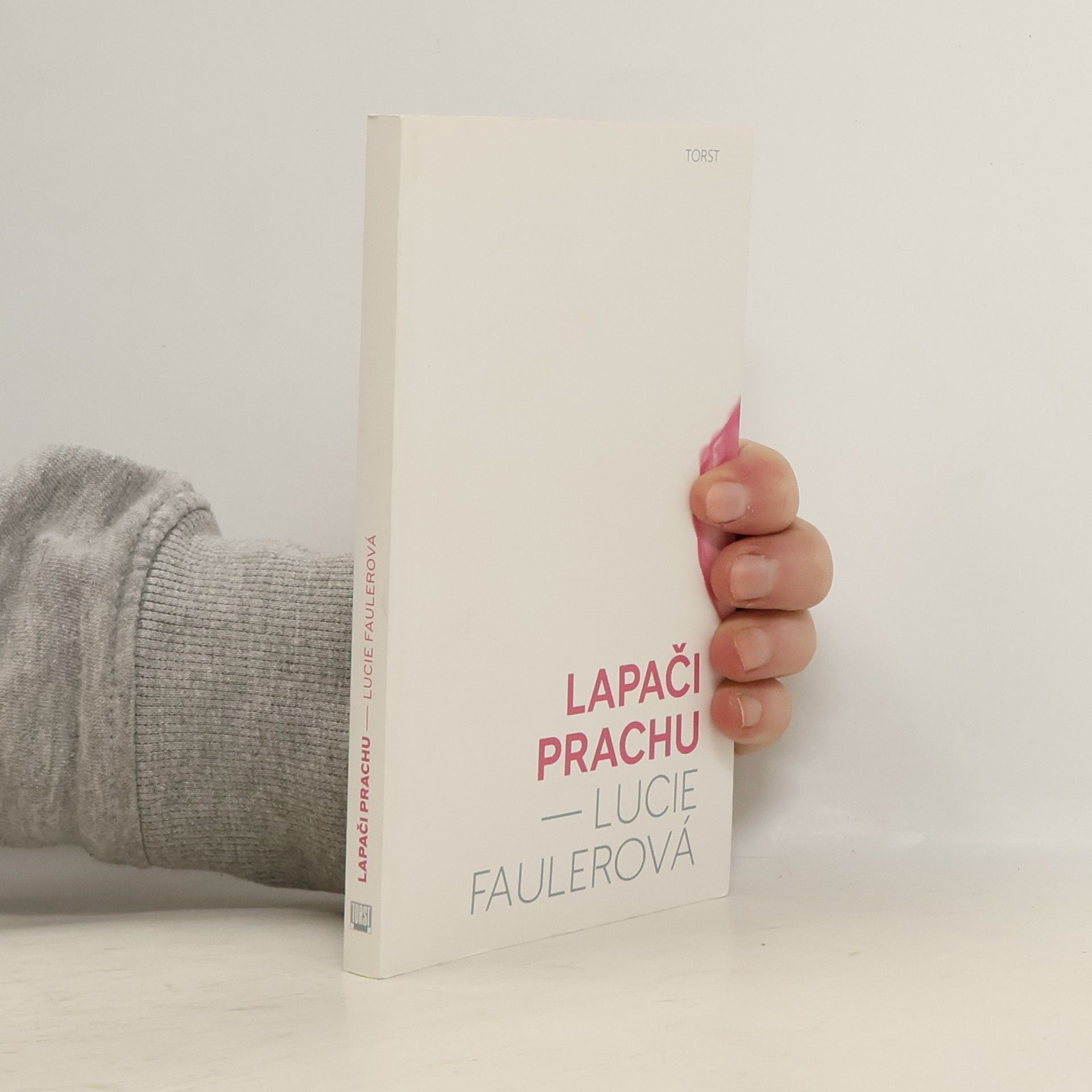 Lucie Faulerová Lapači prachu