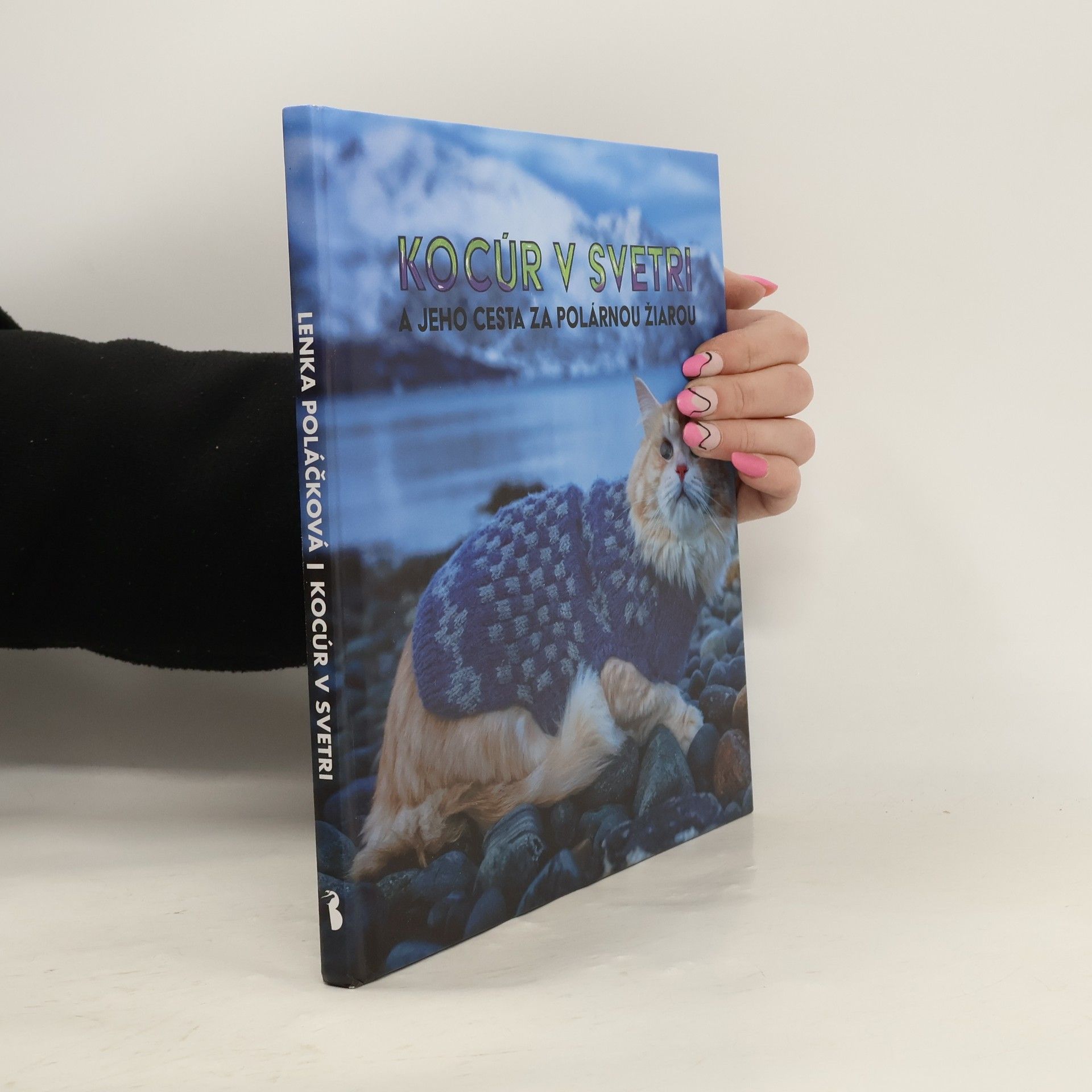 Autores varios Kocúr v svetri a jeho cesta za polárnou žiarou