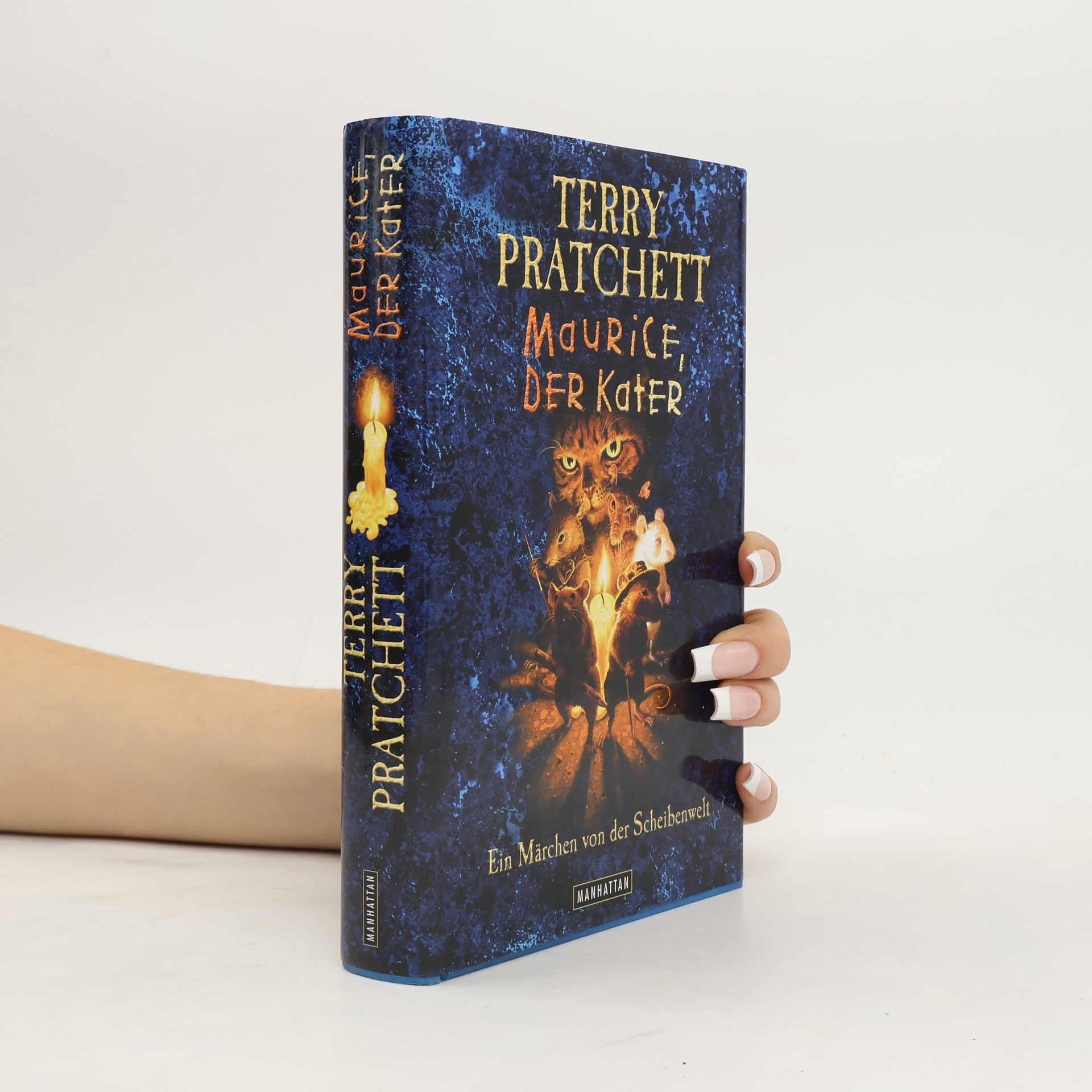 Terry Pratchett Maurice, der Kater