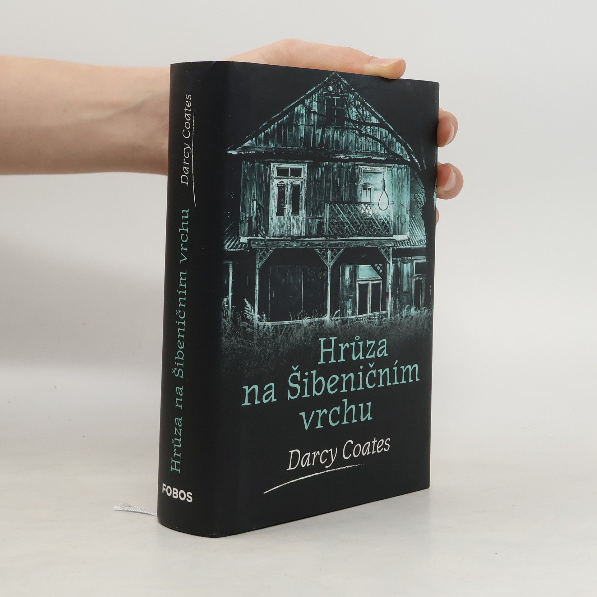 Darcy Coates Hrůza na Šibeničním vrchu